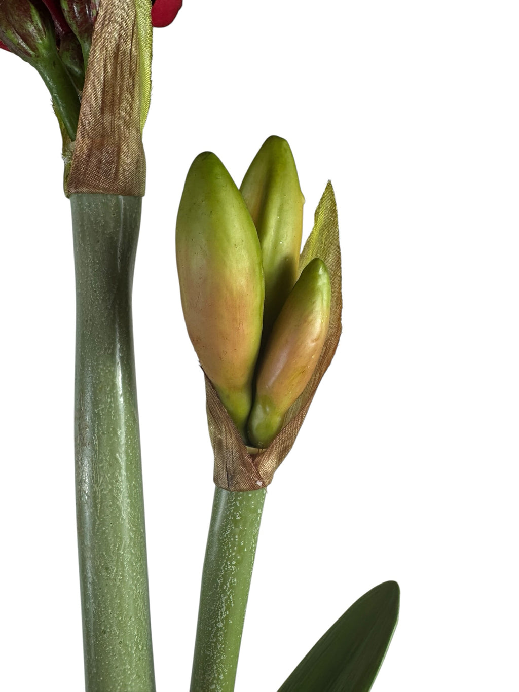 Artificial Bloom lifelike amaryllis stem featuring green closed flower buds and a sturdy textured stalk