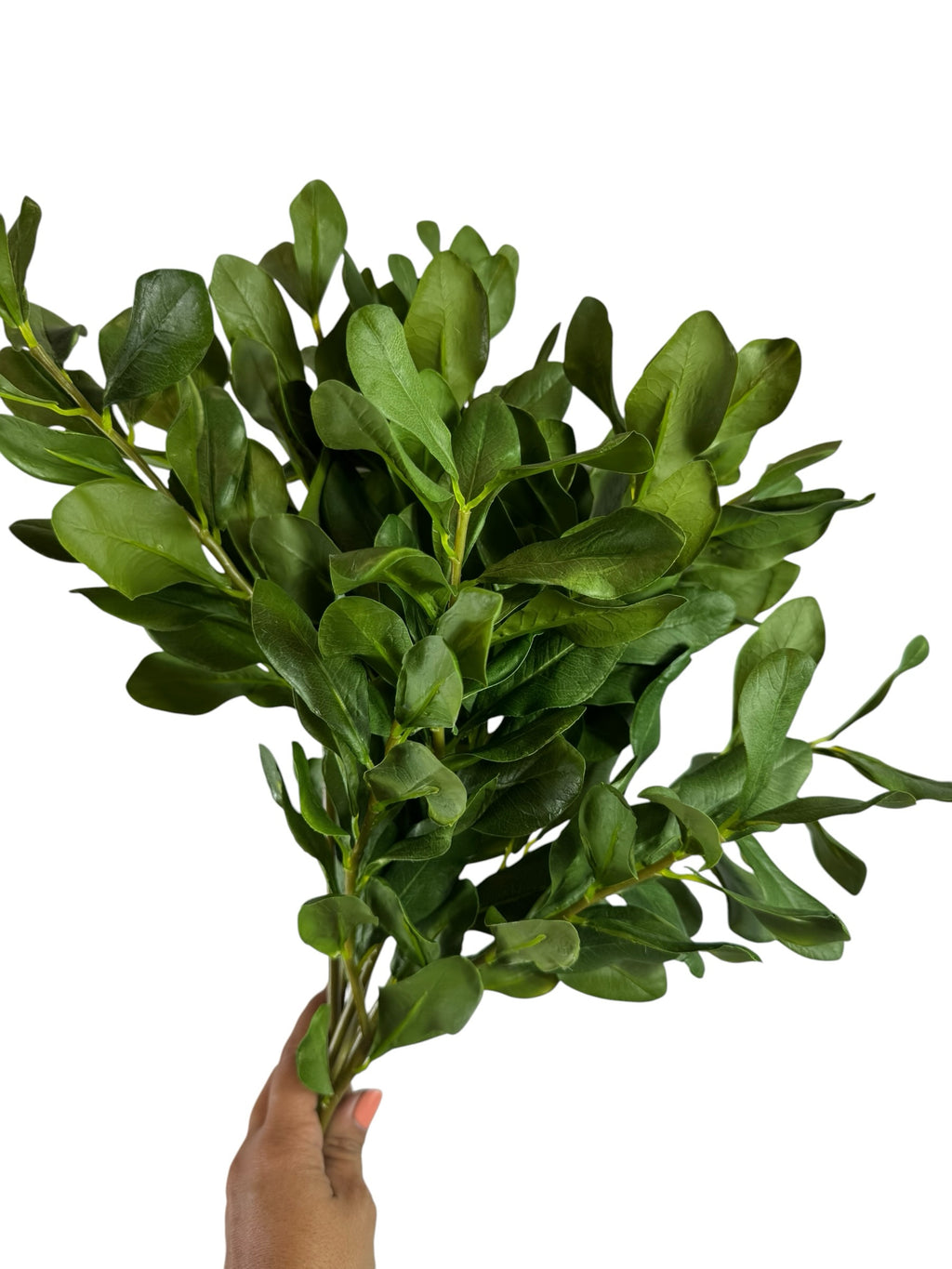 Artificial Bloom artificial boxwood leaf stem with lush deep green foliage held in a hand against a white background