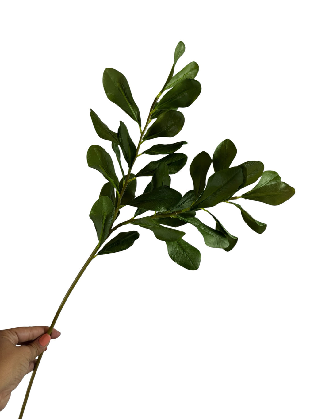 Artificial Bloom artificial boxwood leaf stem with deep green foliage held by a hand against a white background