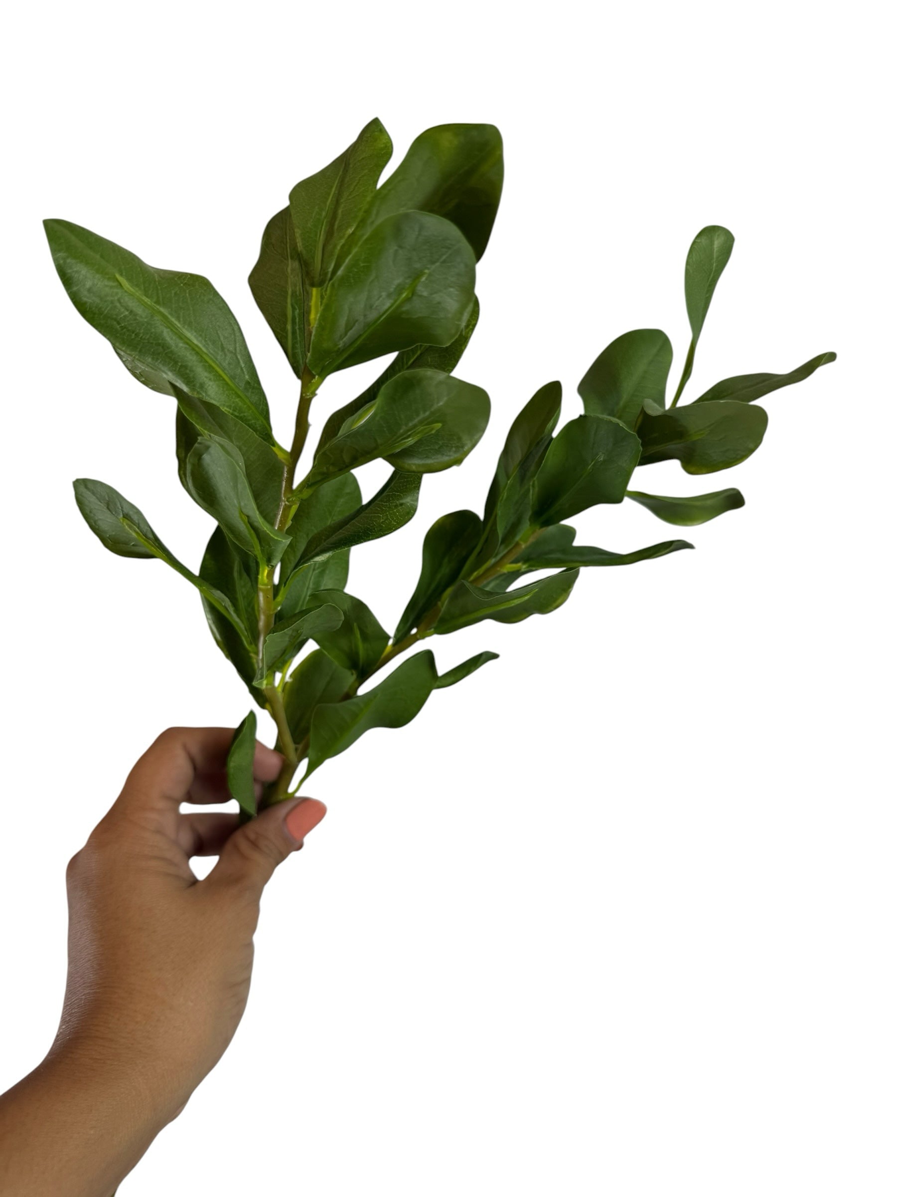 Artificial Bloom artificial boxwood leaf stem with realistic deep green foliage held in a hand against white background