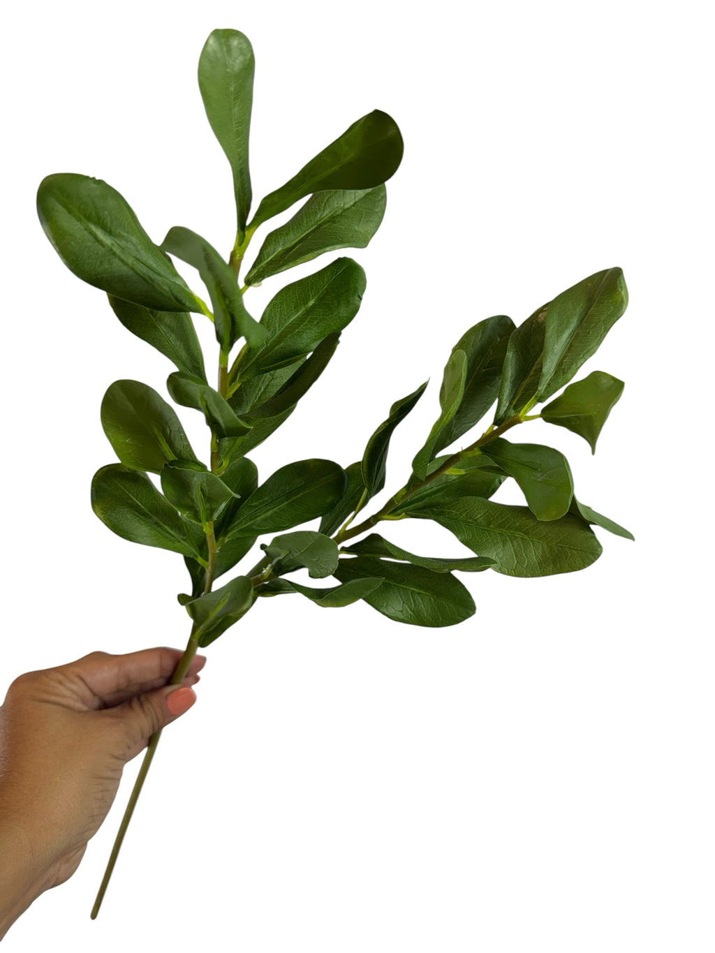 Artificial Bloom artificial boxwood leaf stem with vibrant green foliage held by a hand against a white background