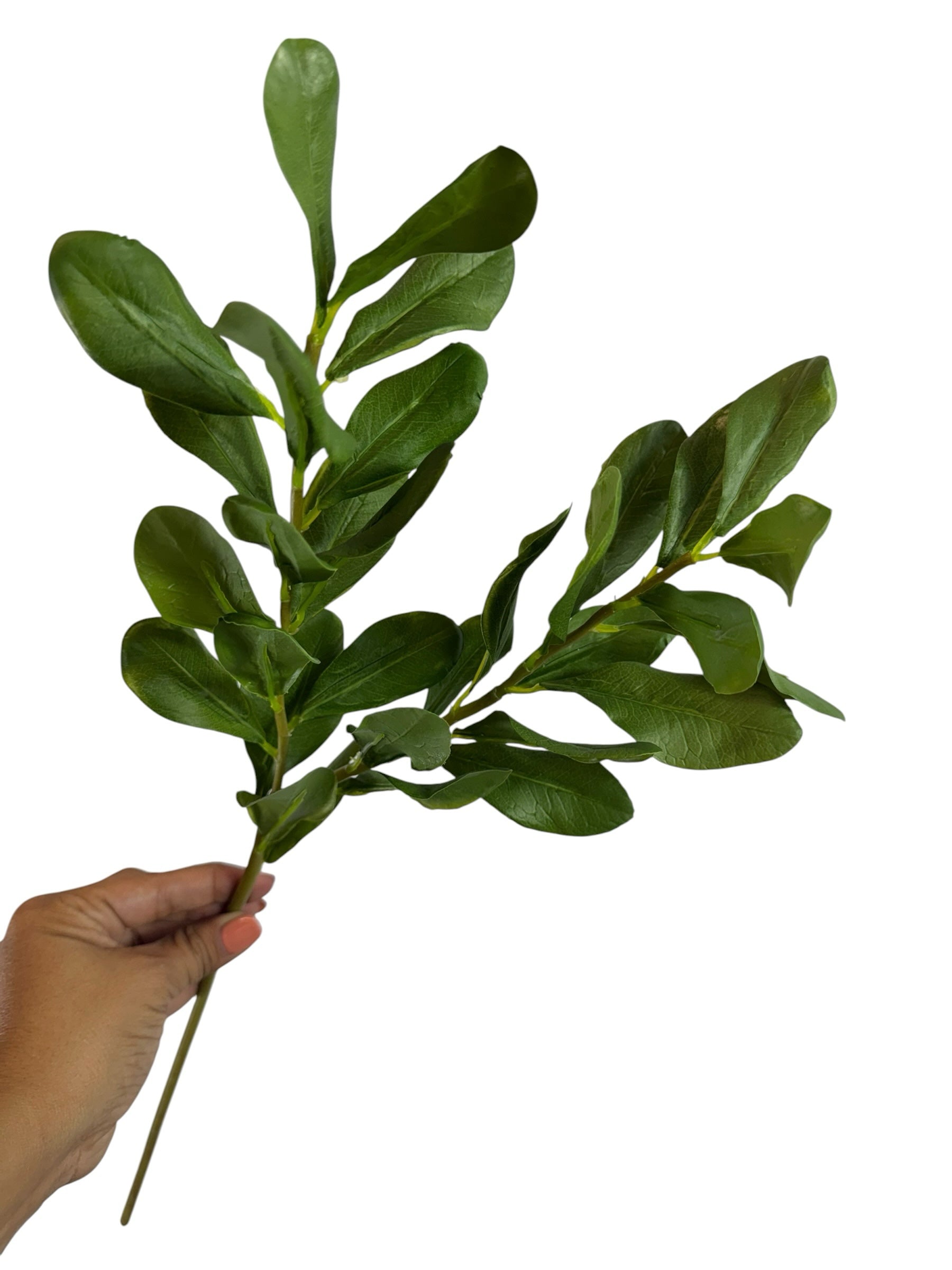 Artificial Bloom artificial boxwood leaf stem with vibrant green foliage held by a hand against a white background