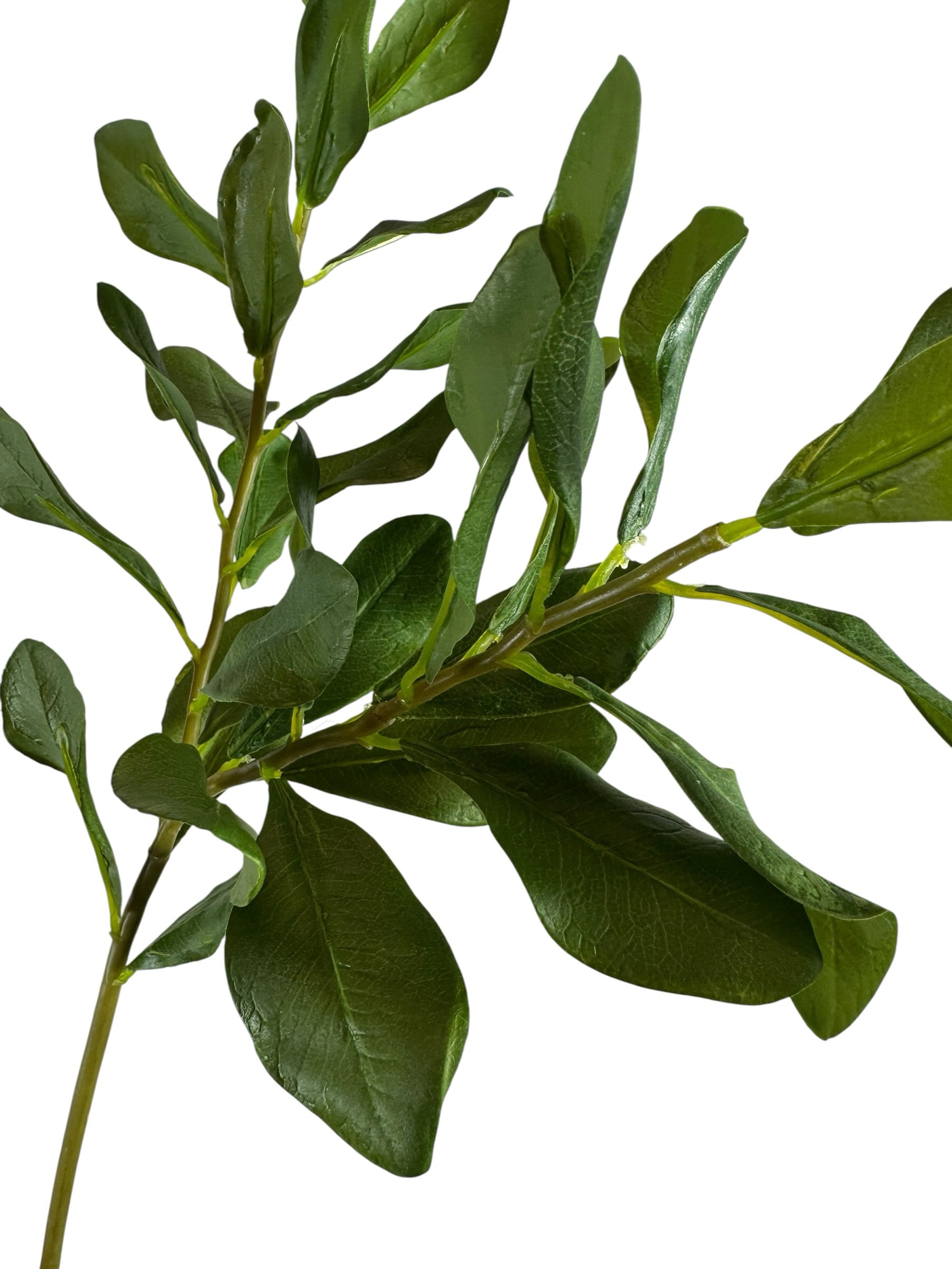 Artificial Bloom artificial boxwood leaf stem with realistic deep green foliage and textured branches