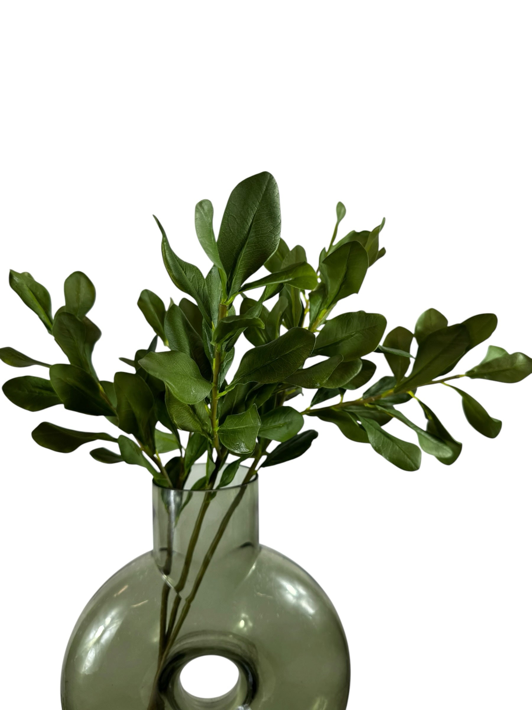 Artificial Bloom artificial boxwood leaf stems in a green glass vase, featuring realistic deep green foliage.
