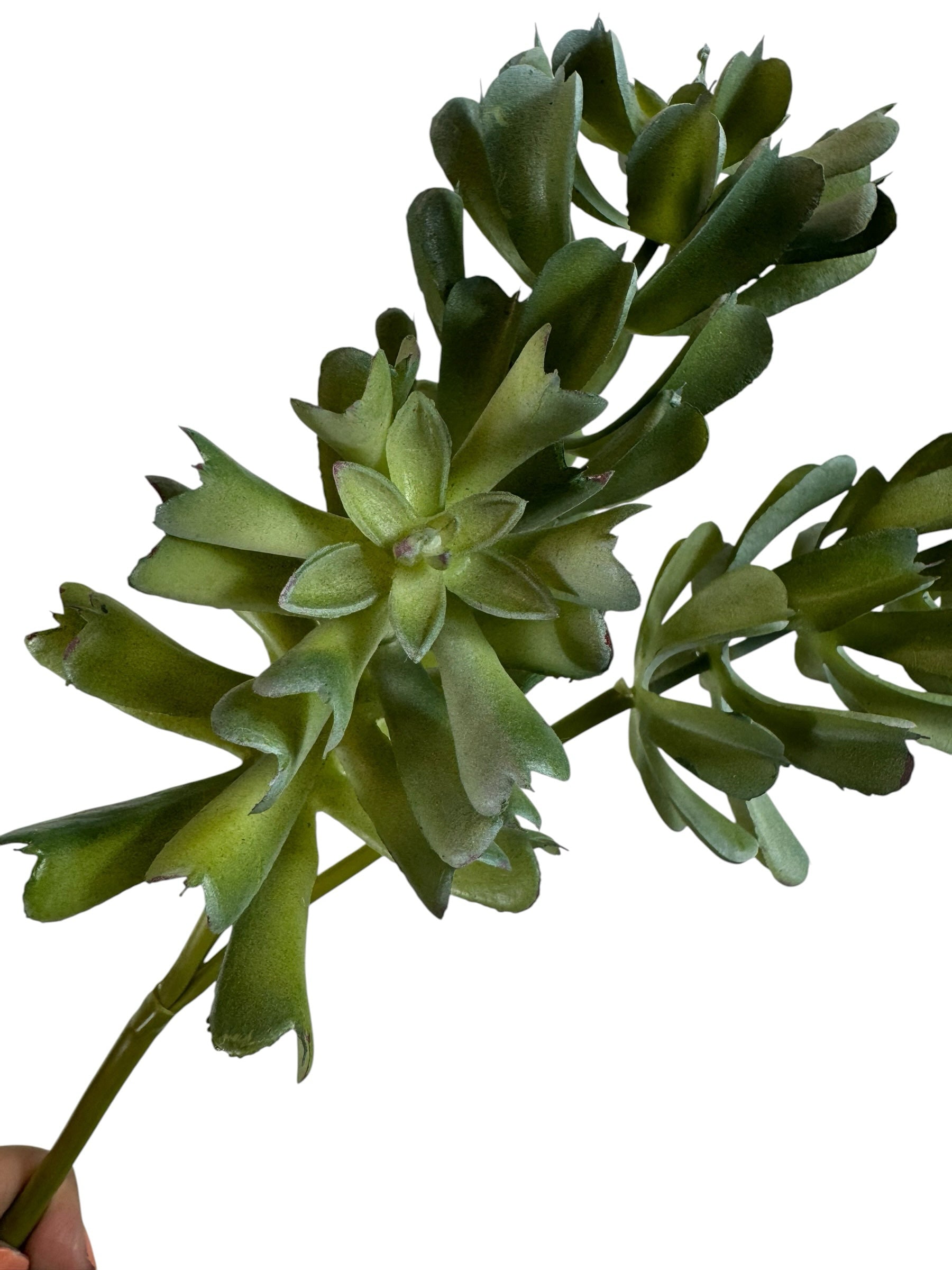 Artificial Bloom artificial succulent stem with realistic green layered leaves for home decor
