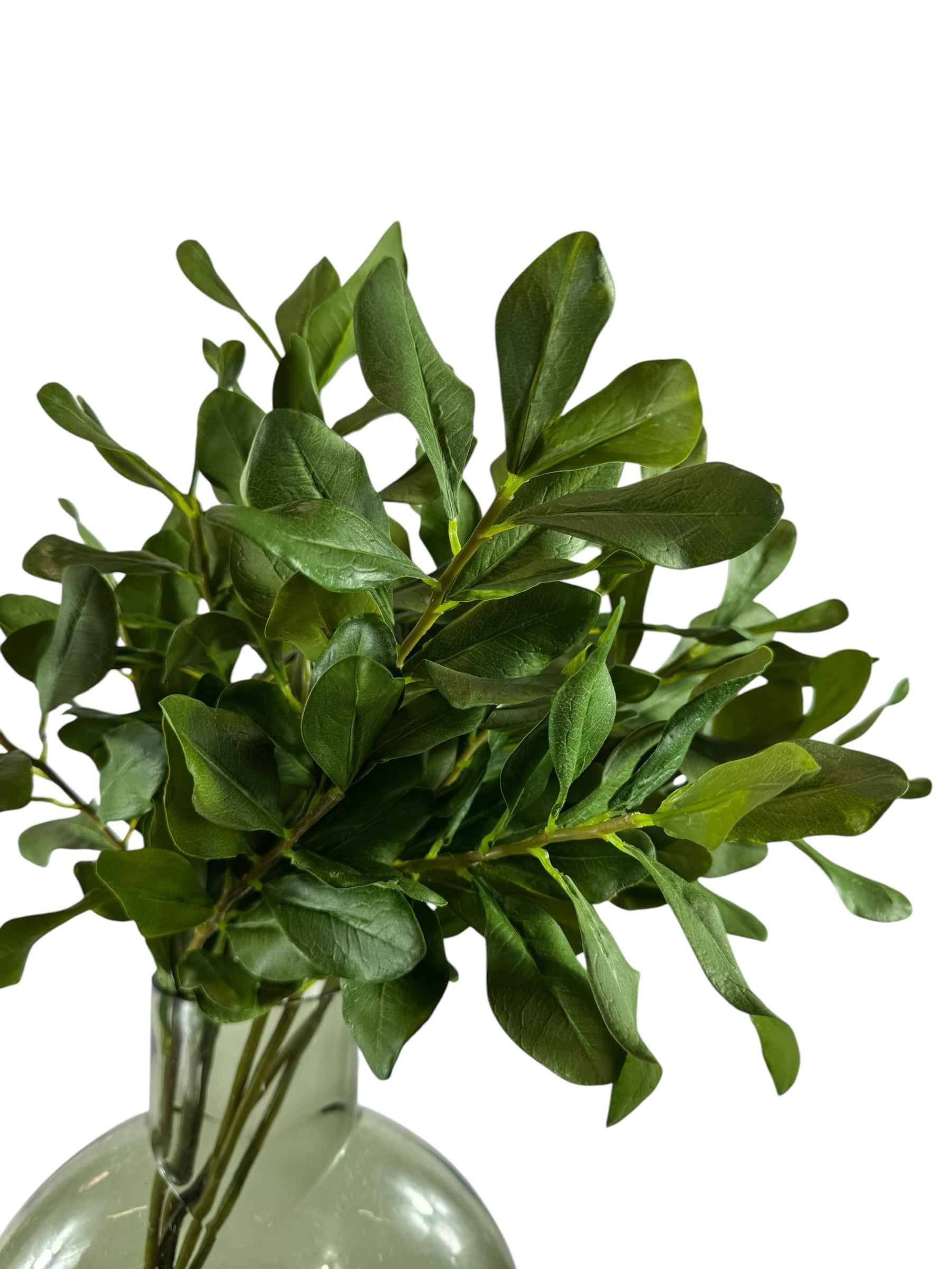 Artificial Bloom artificial boxwood leaf stems with deep green foliage in a glass vase for home decor