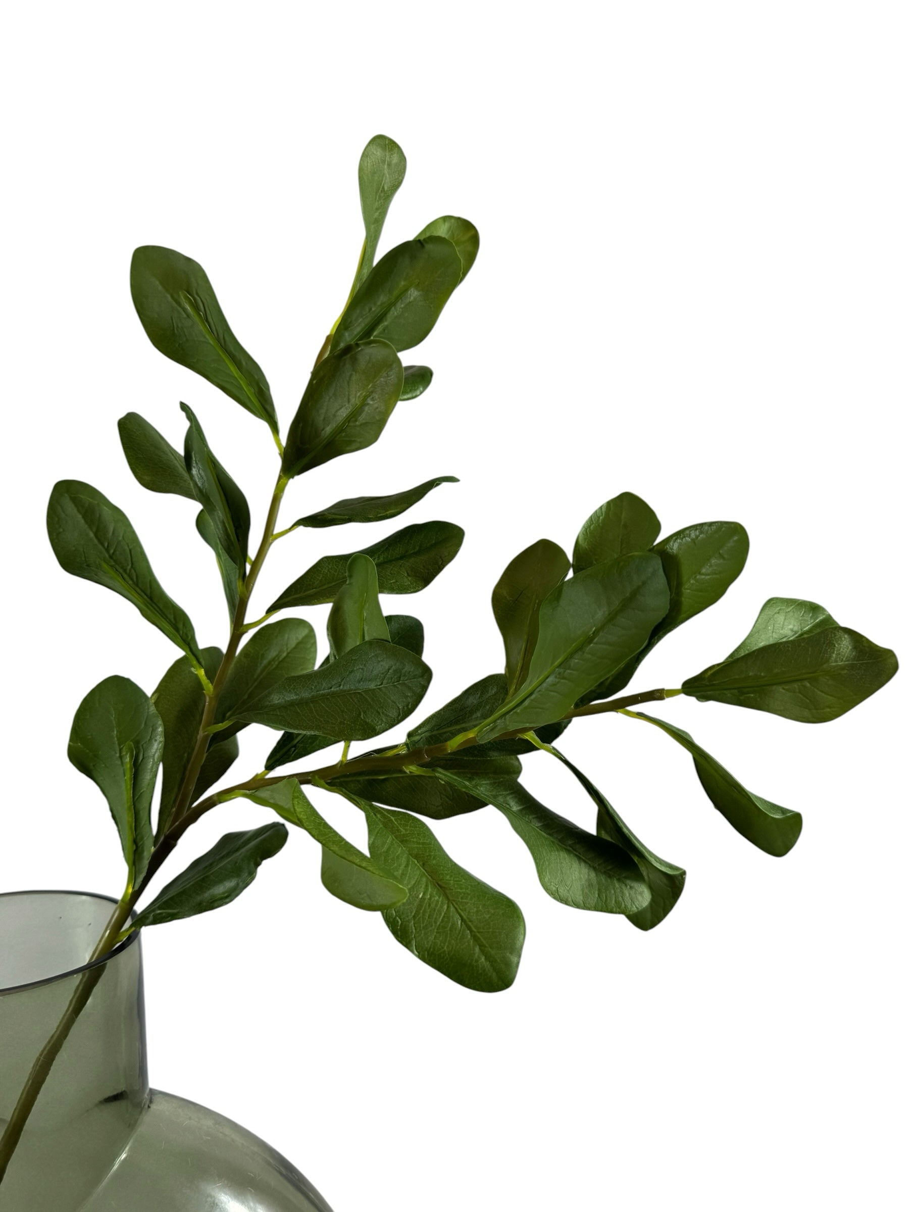 Artificial Bloom artificial boxwood leaf stem with deep green foliage in a glass vase for home decor
