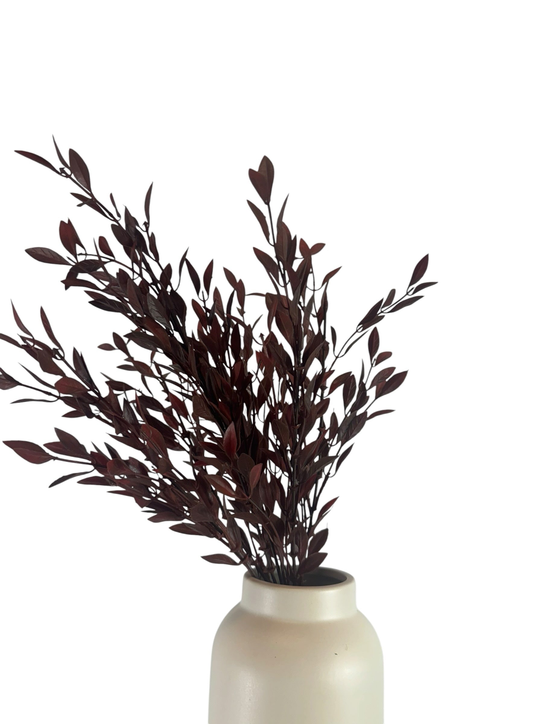 Artificial Bloom deep burgundy faux leafy botanical stems in a minimalist cream ceramic vase against a white background