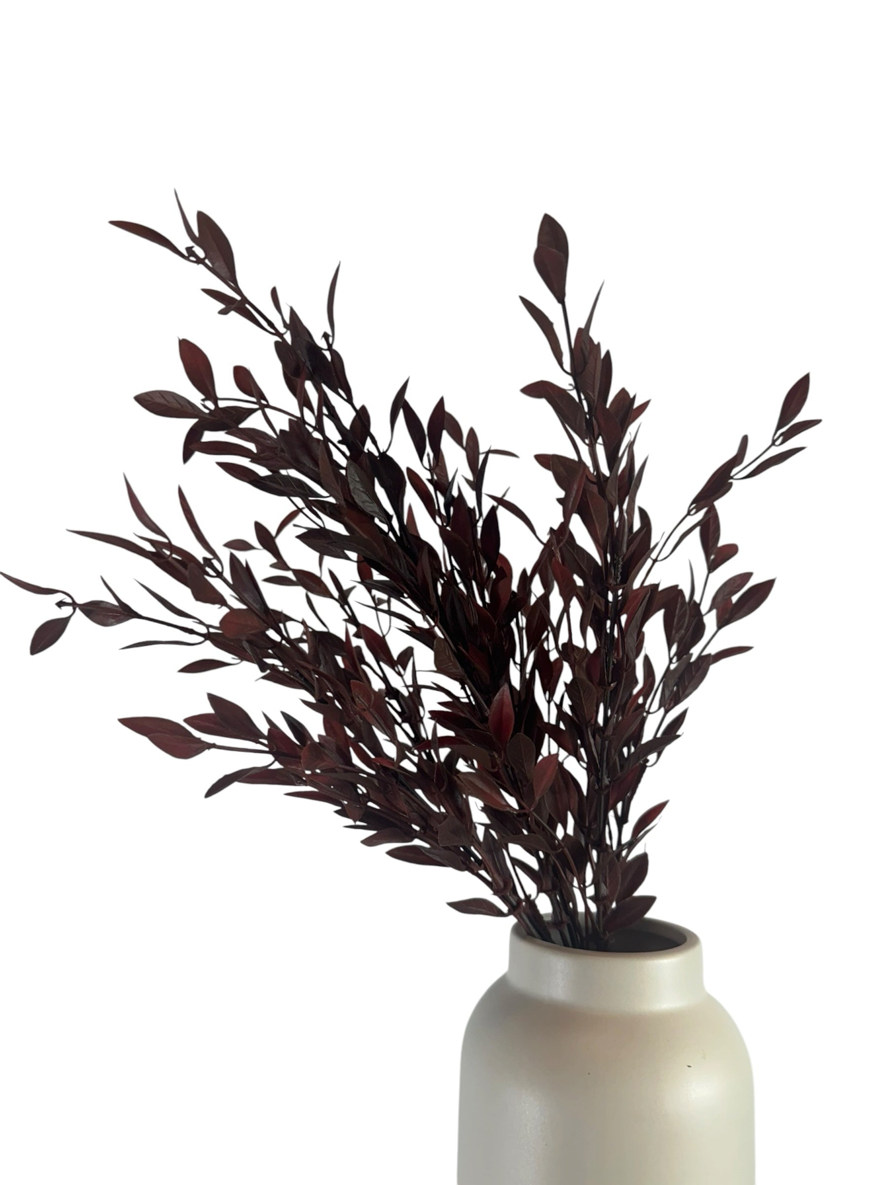 Artificial Bloom deep burgundy faux leafy branches in a minimalist cream ceramic vase against a white background