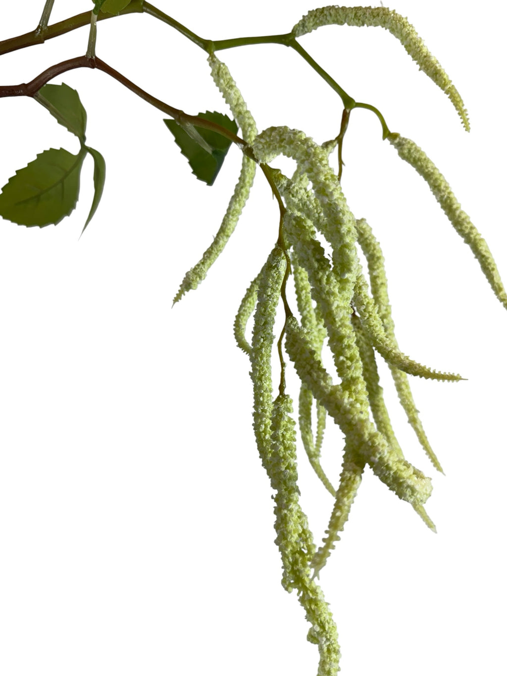 Artificial Bloom cascading pale green amaranth decorative stem with realistic textured foliage on a white background