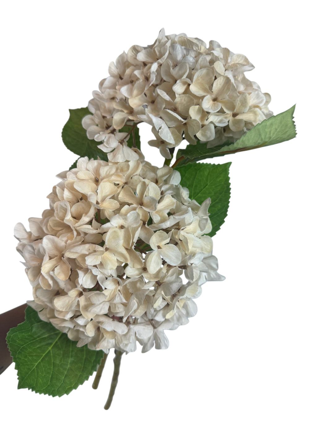 Artificial Bloom cream hydrangea stem with realistic fabric petals and vibrant green leaves for home decor.