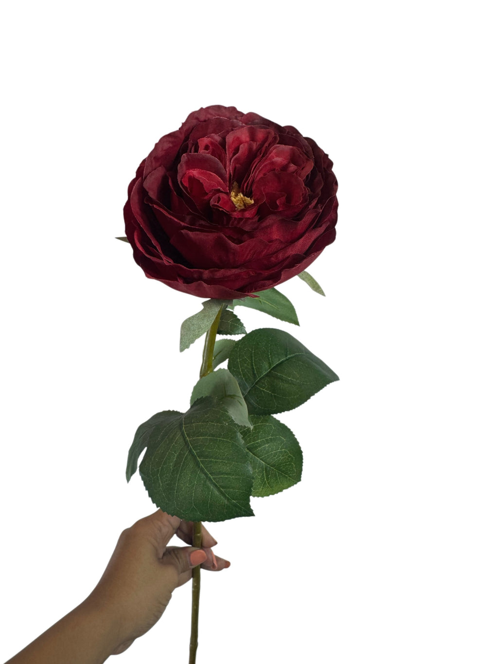 Artificial Bloom deep red faux rose stem with velvety petals and realistic green leaves held against white background