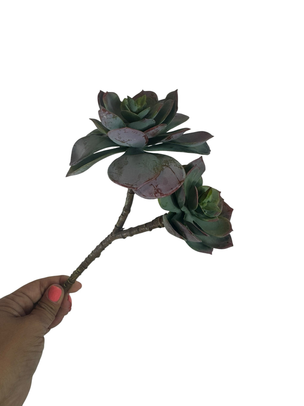 Artificial Bloom dual-rosette faux succulent stem in teal and forest green with reddish-purple leaf edges