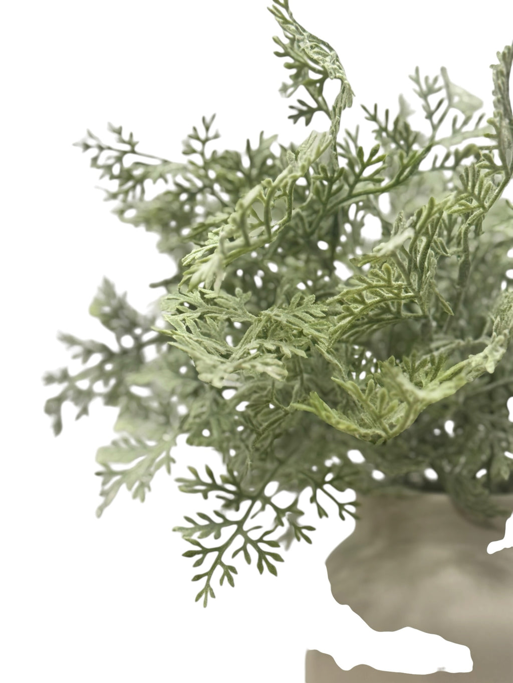 Artificial Bloom dusty miller plant with sage green fern-like foliage in a neutral ceramic pot