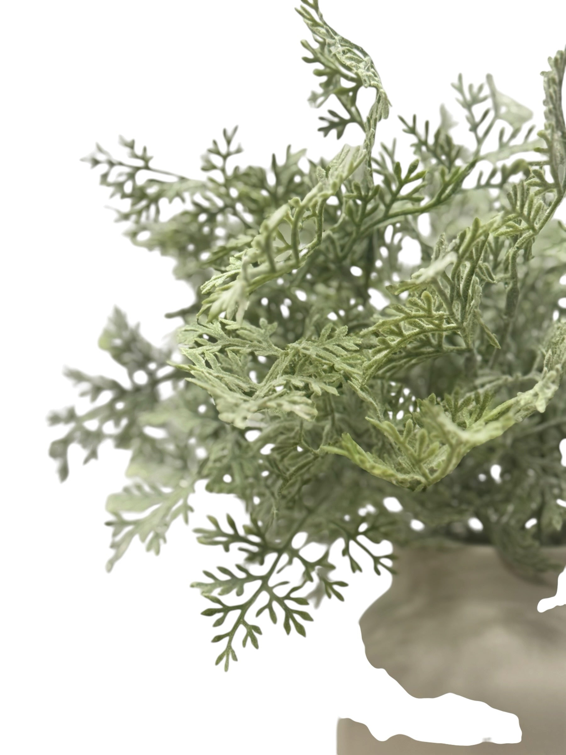 Artificial Bloom dusty miller plant with sage green fern-like foliage in a neutral ceramic pot