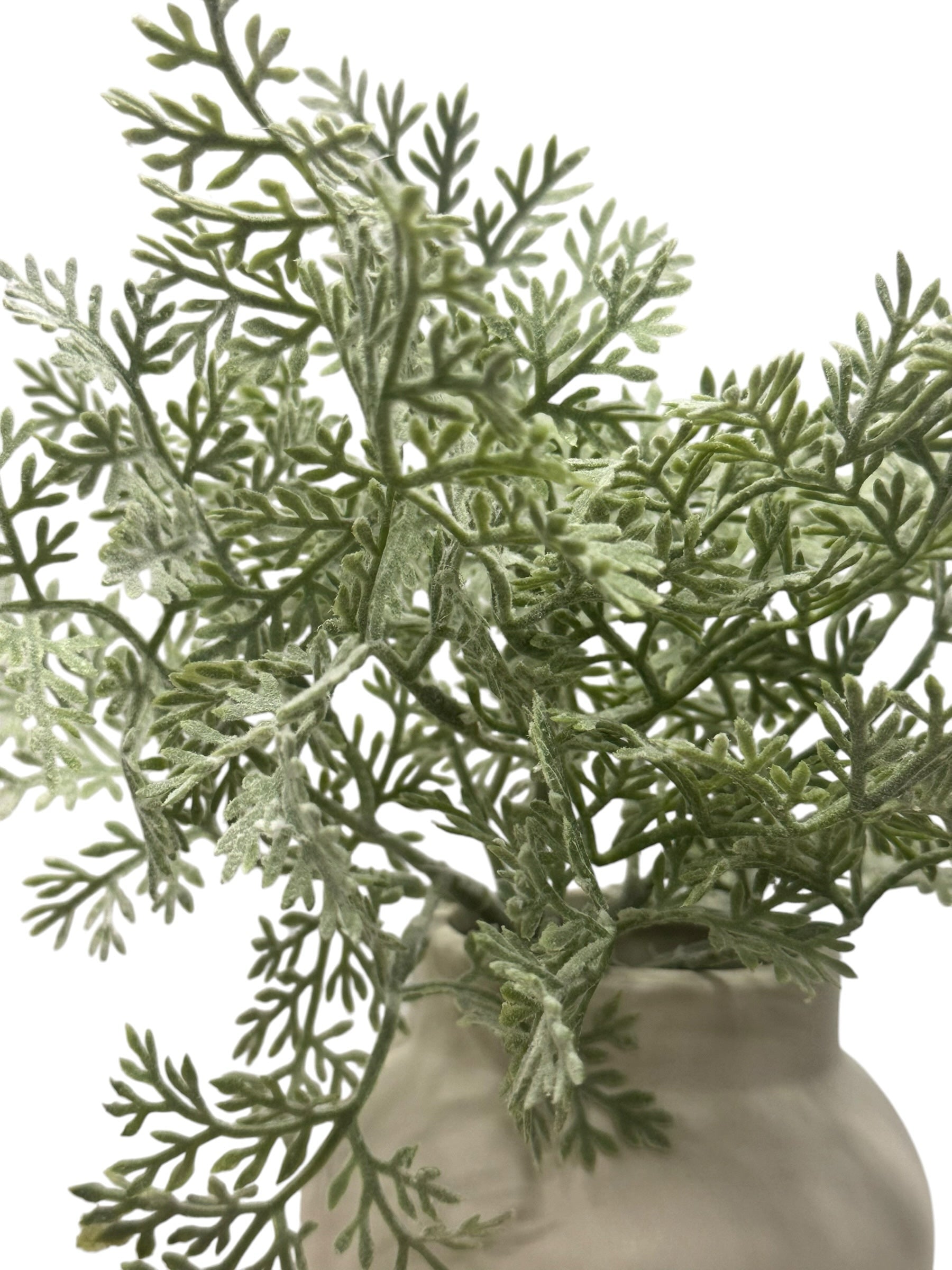 Artificial Bloom dusty miller plant with sage green fern-like leaves in a neutral ceramic pot