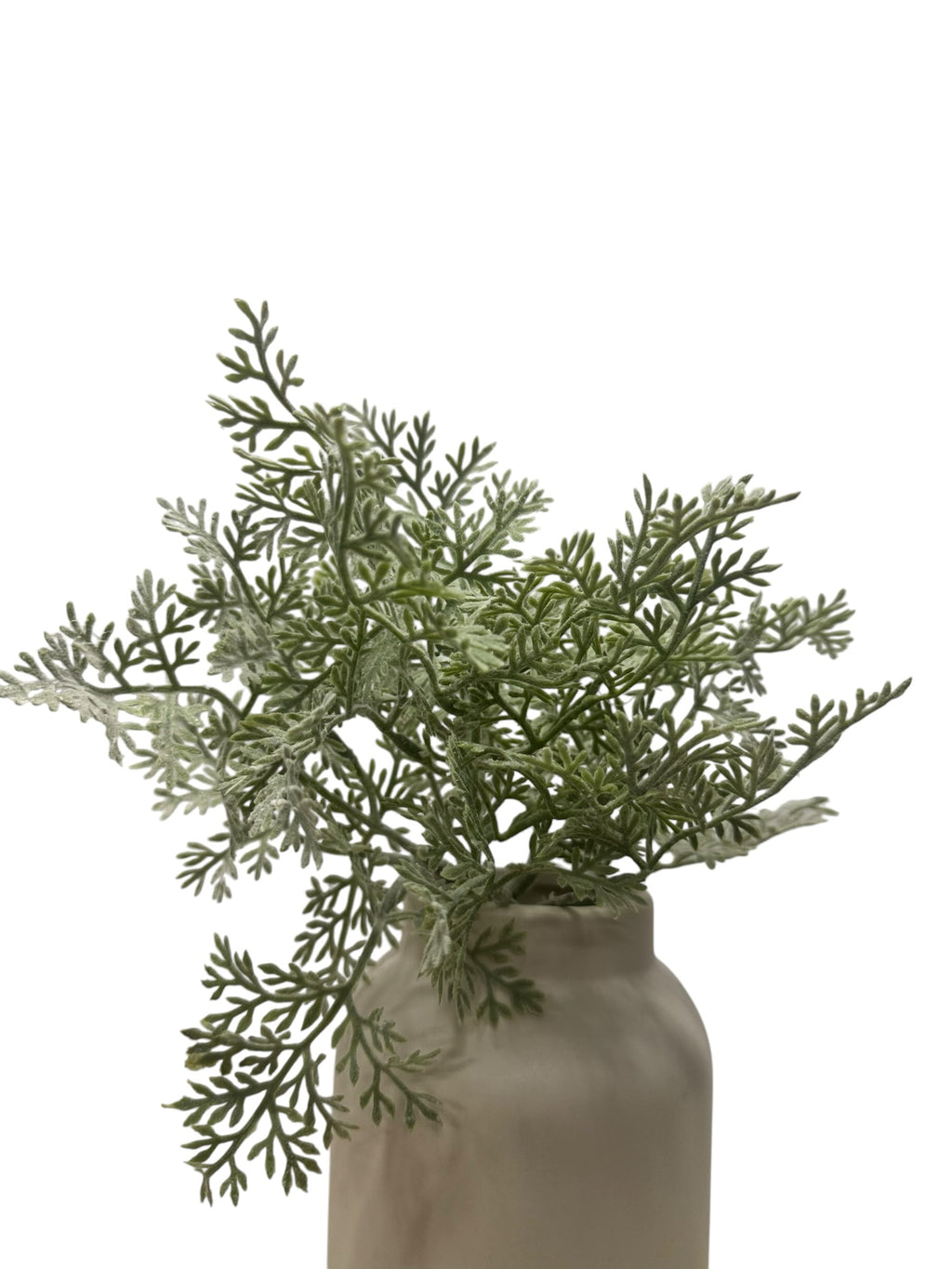 Artificial Bloom dusty miller plant with sage green textured foliage in a neutral ceramic vase