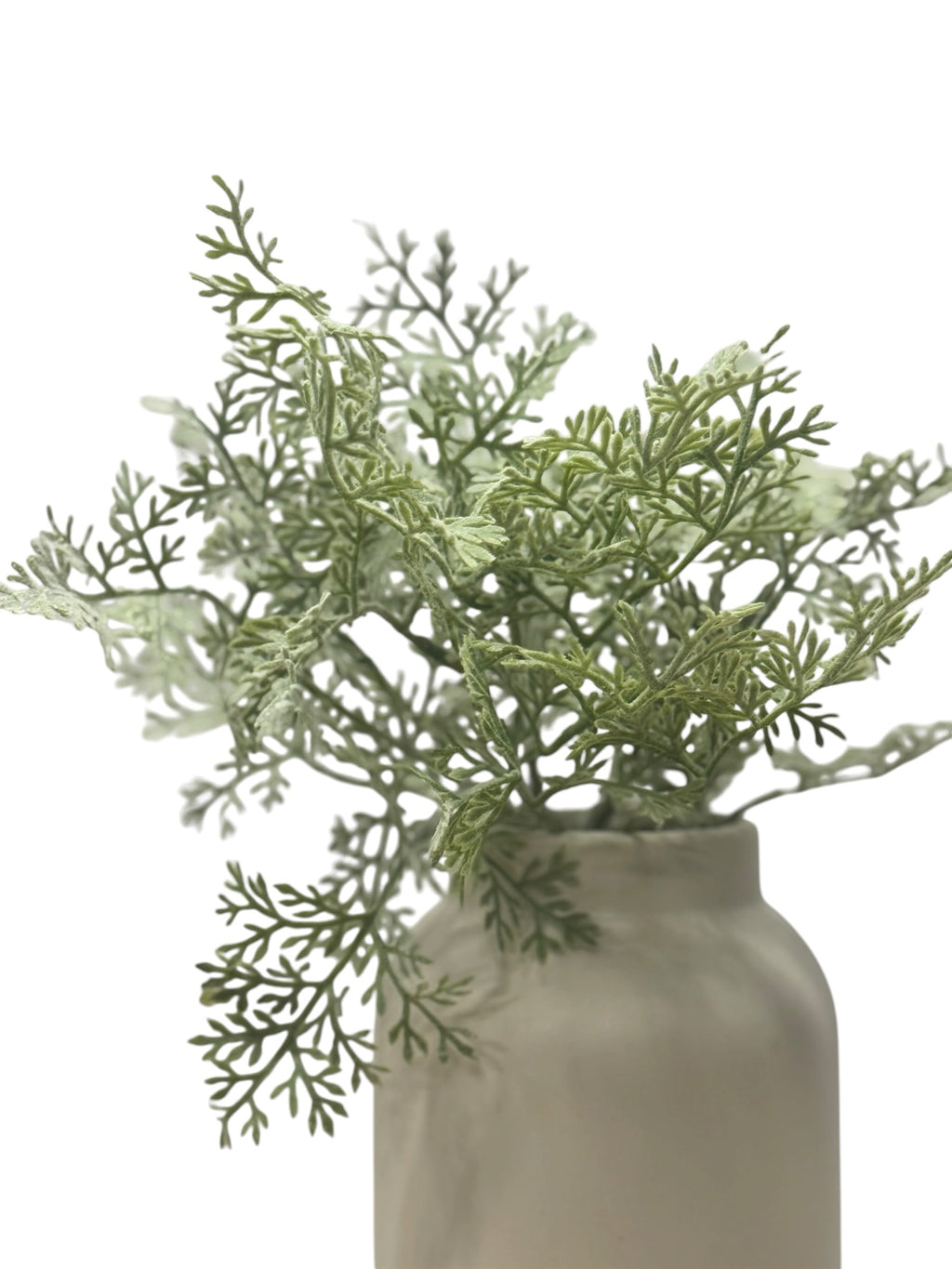 Artificial Bloom potted dusty miller plant with sage green textured foliage in a neutral ceramic vase