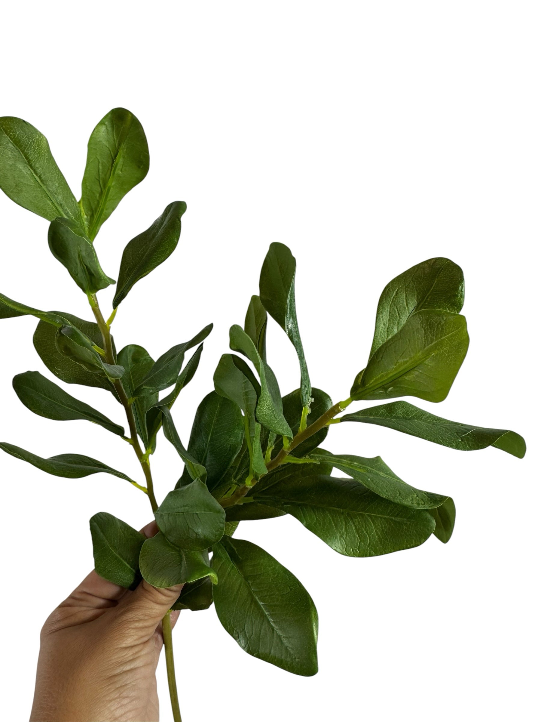 Artificial Bloom artificial boxwood leaf stem with realistic deep green foliage held against a white background.