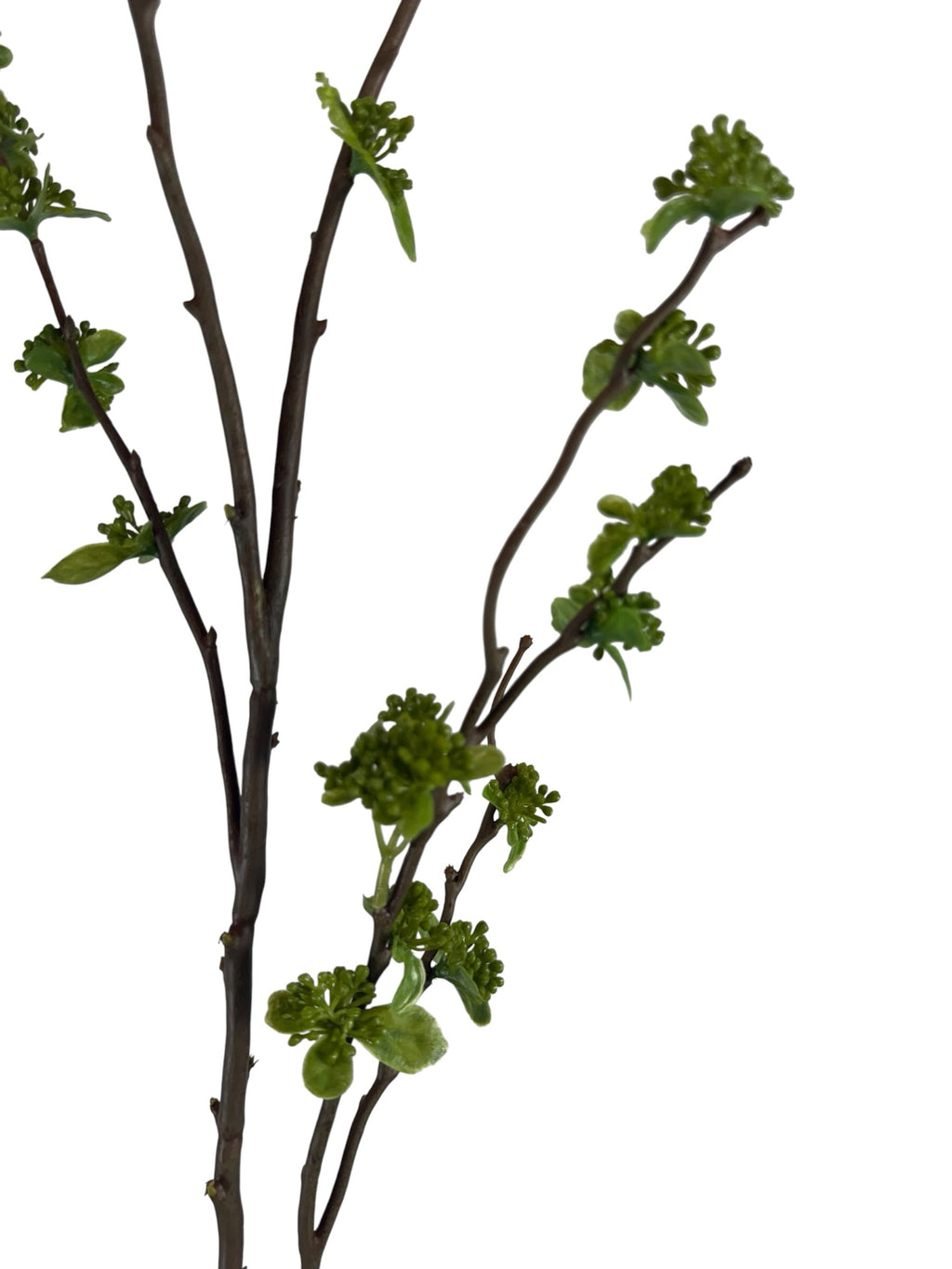 Artificial Bloom decorative botanical branch with dark brown bark and vibrant green spring buds on a white background