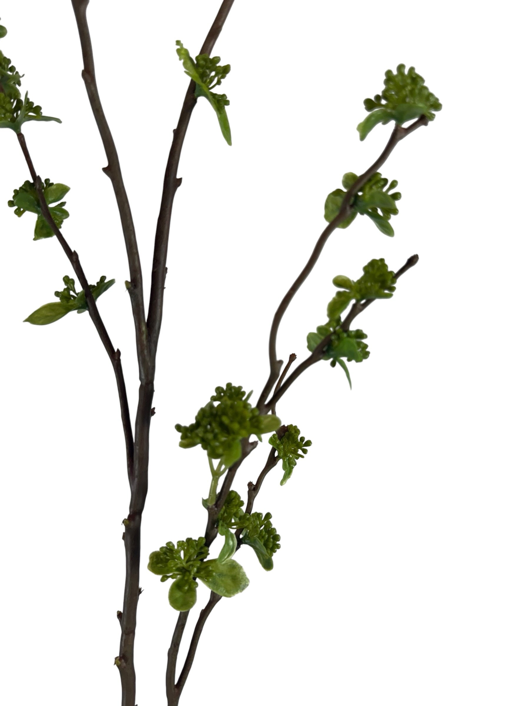 Artificial Bloom decorative botanical branch with dark brown bark and vibrant green spring buds on a white background