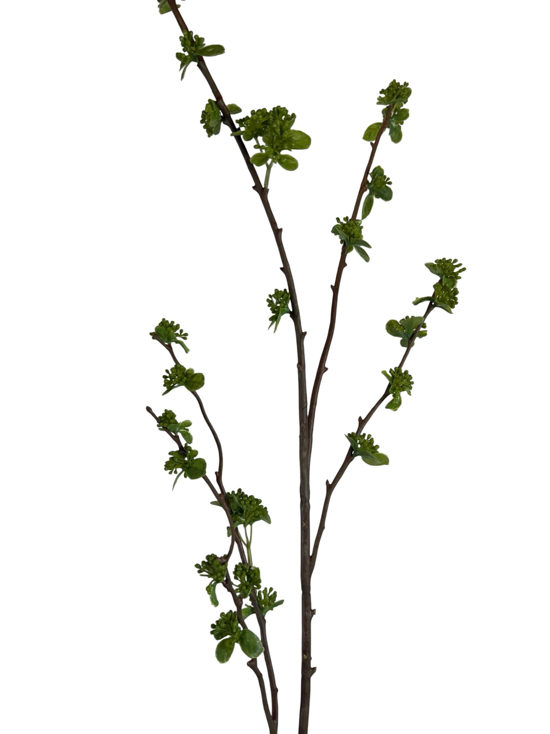 Artificial Bloom decorative botanical branch with realistic dark brown bark and vibrant green spring buds