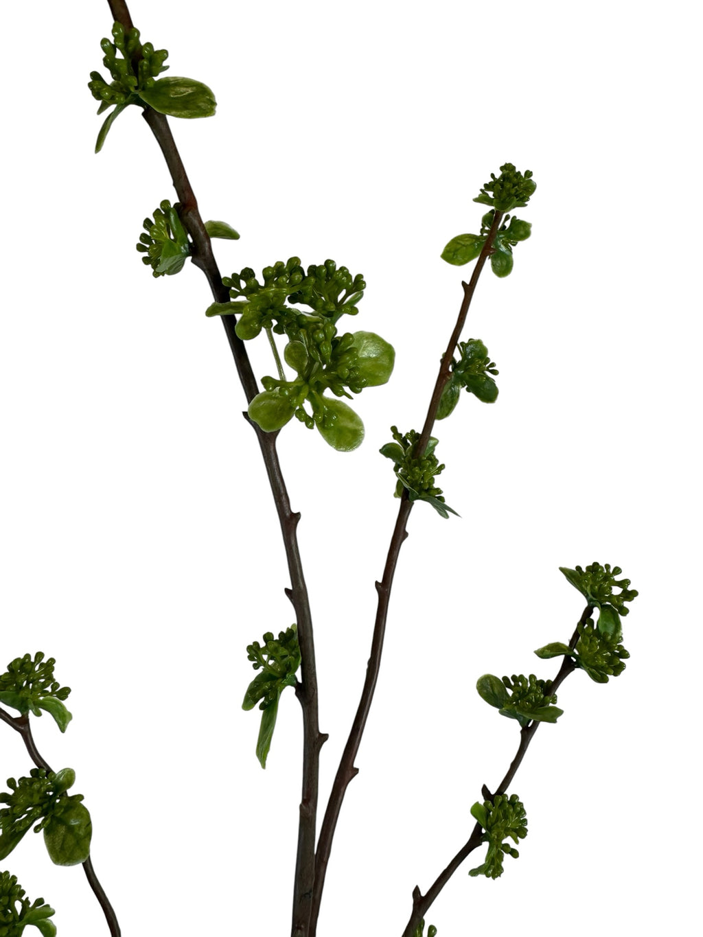 Artificial Bloom decorative botanical branch with realistic dark brown bark and vibrant green spring buds