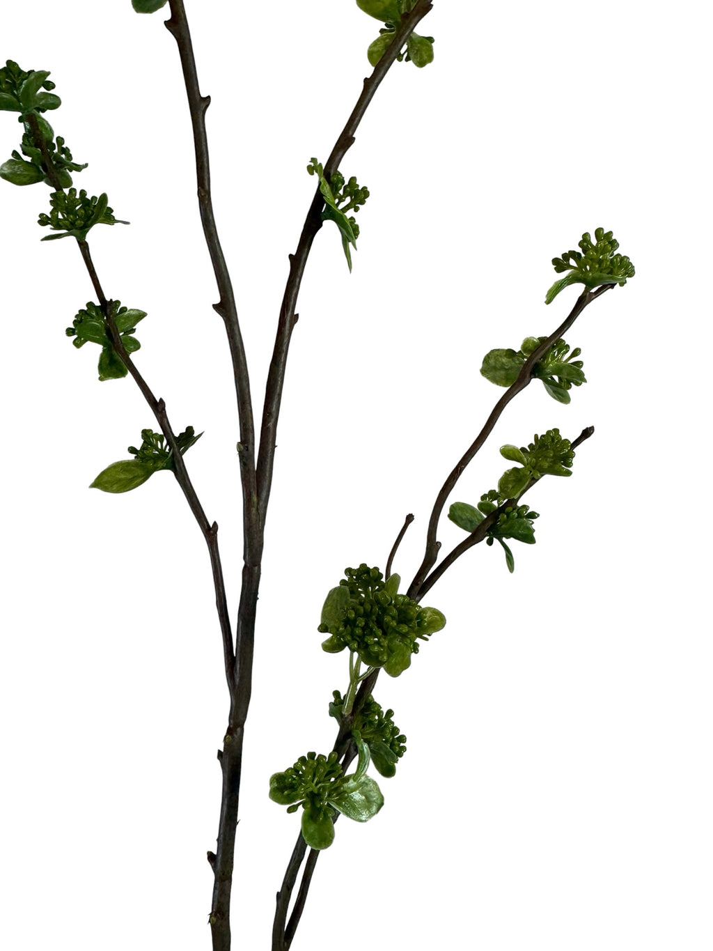 Artificial Bloom decorative botanical branch with dark brown bark and vibrant green budding leaves on a white background