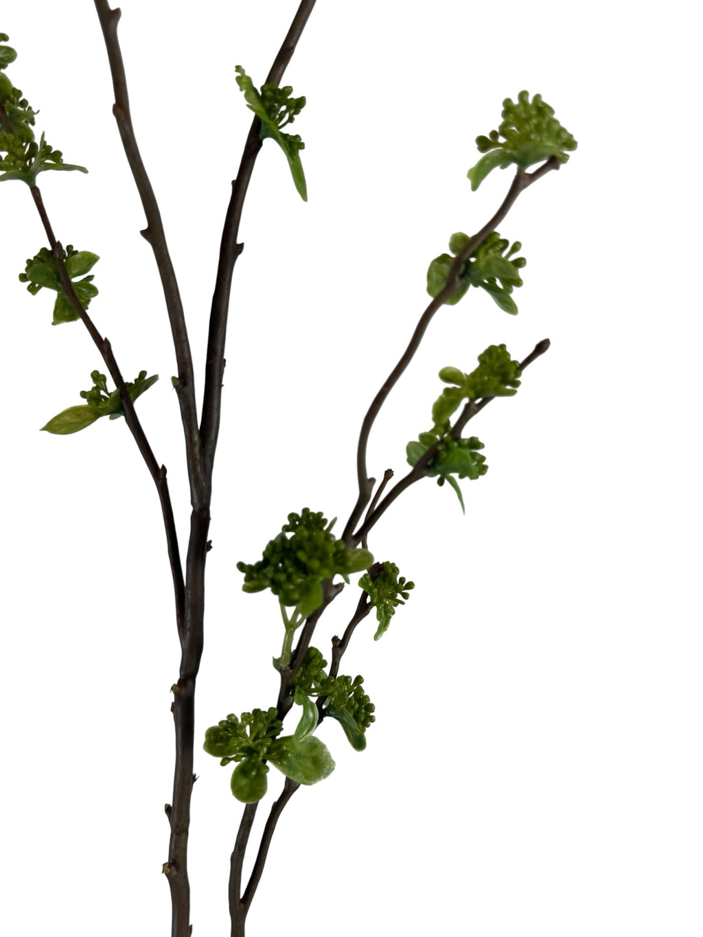 Artificial Bloom decorative botanical branch with dark brown bark and vibrant green spring buds on a white background