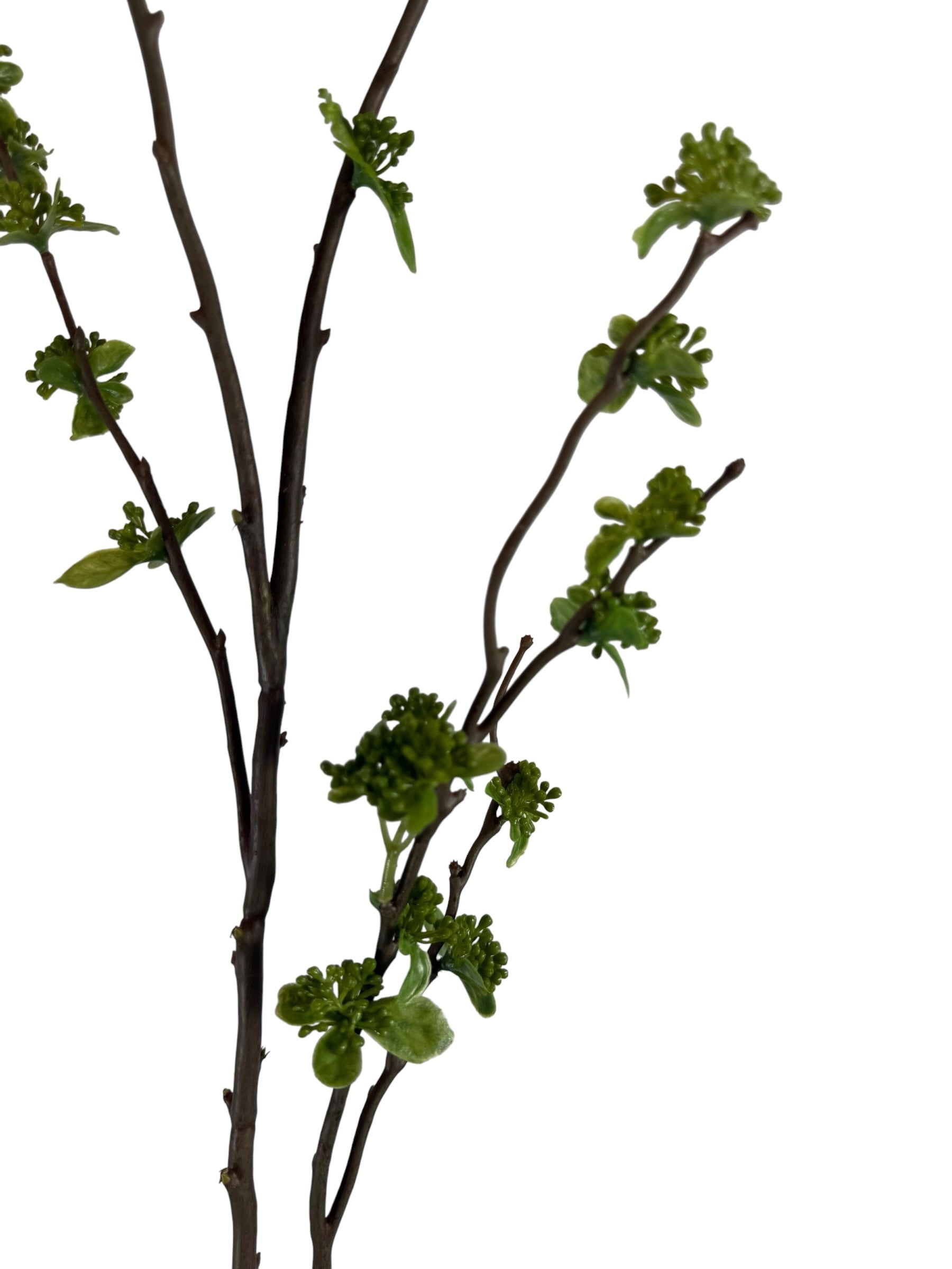 Artificial Bloom decorative botanical branch with dark brown bark and vibrant green spring buds on a white background