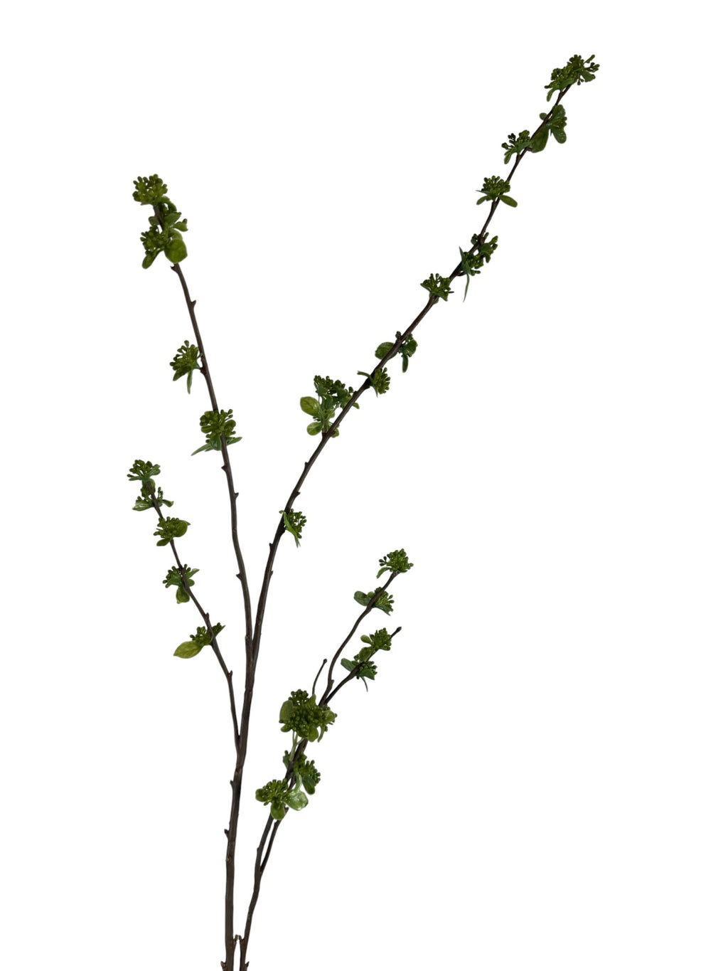 Artificial Bloom decorative botanical branch with dark brown bark and vibrant green spring buds on a white background.