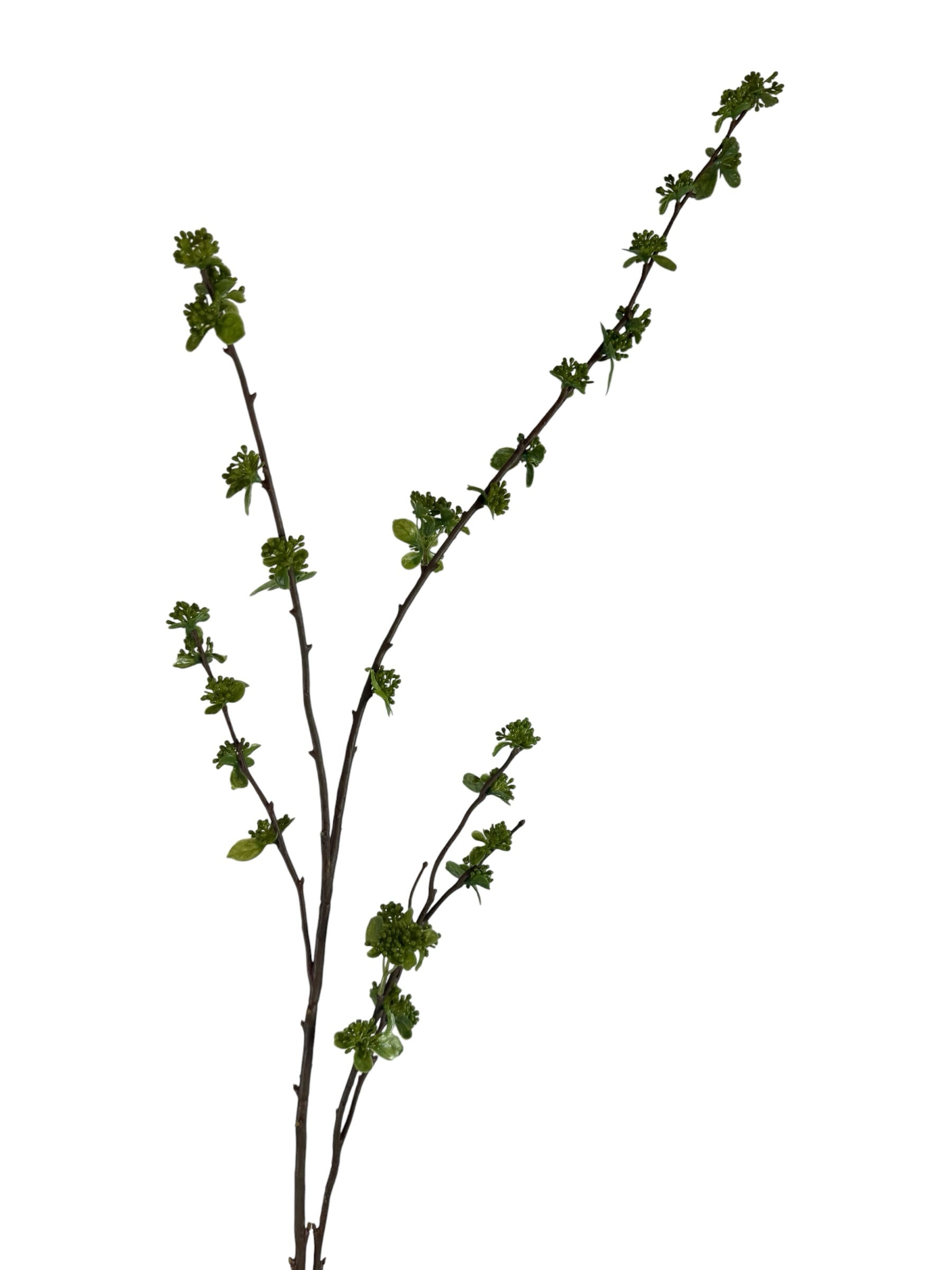 Artificial Bloom decorative botanical branch with dark brown bark and vibrant green spring buds on a white background.
