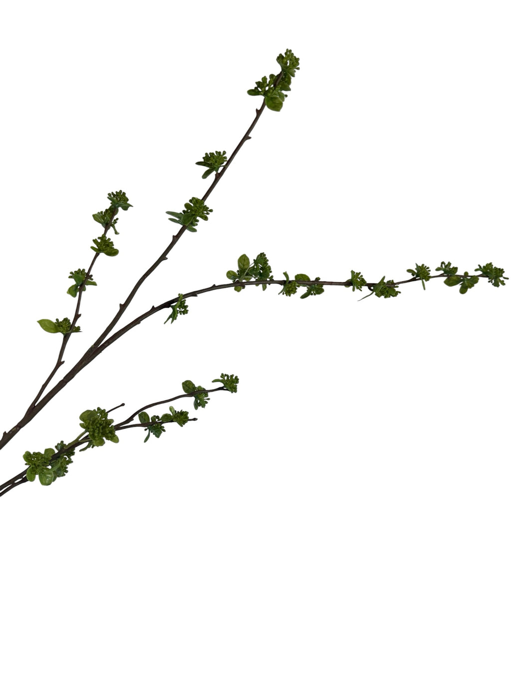 Artificial Bloom decorative botanical branch with dark brown bark and vibrant green buds for spring home decor