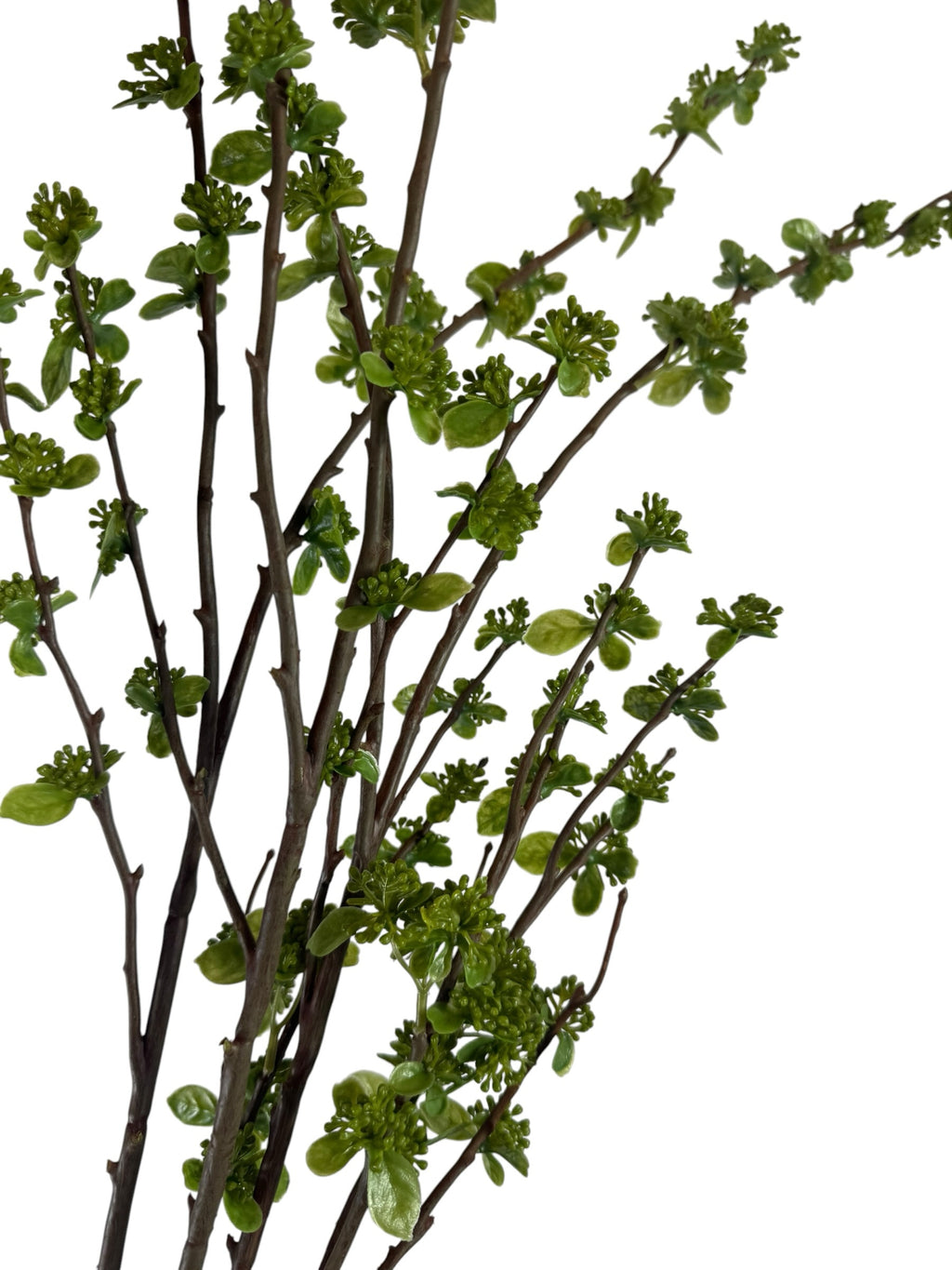 Artificial Bloom decorative botanical branch with dark brown stems and vibrant green spring buds on white background