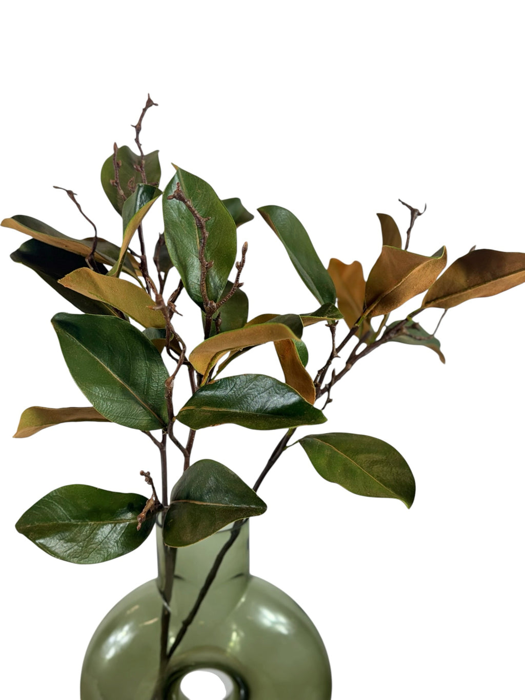 Artificial Bloom faux magnolia branch with glossy green leaves and rustic brown undersides in a green glass vase