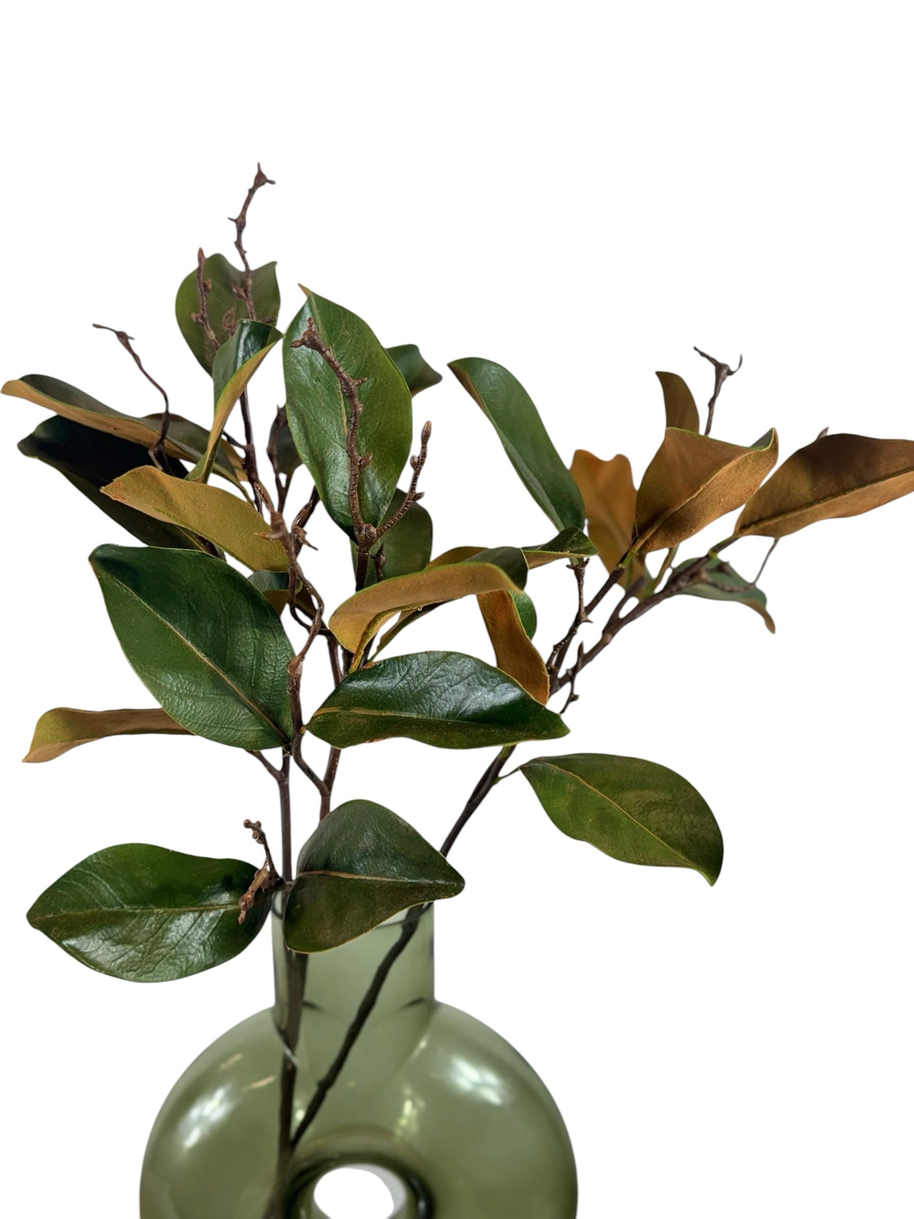 Artificial Bloom faux magnolia branch with glossy green leaves and rustic brown undersides in a green glass vase