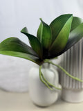 Artificial Bloom artificial orchid plant with deep green leaves and textured aerial roots in a white ceramic vase