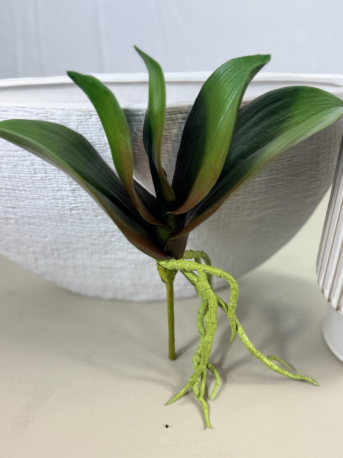 Artificial Bloom artificial orchid plant base with deep green leaves and textured light green exposed aerial roots