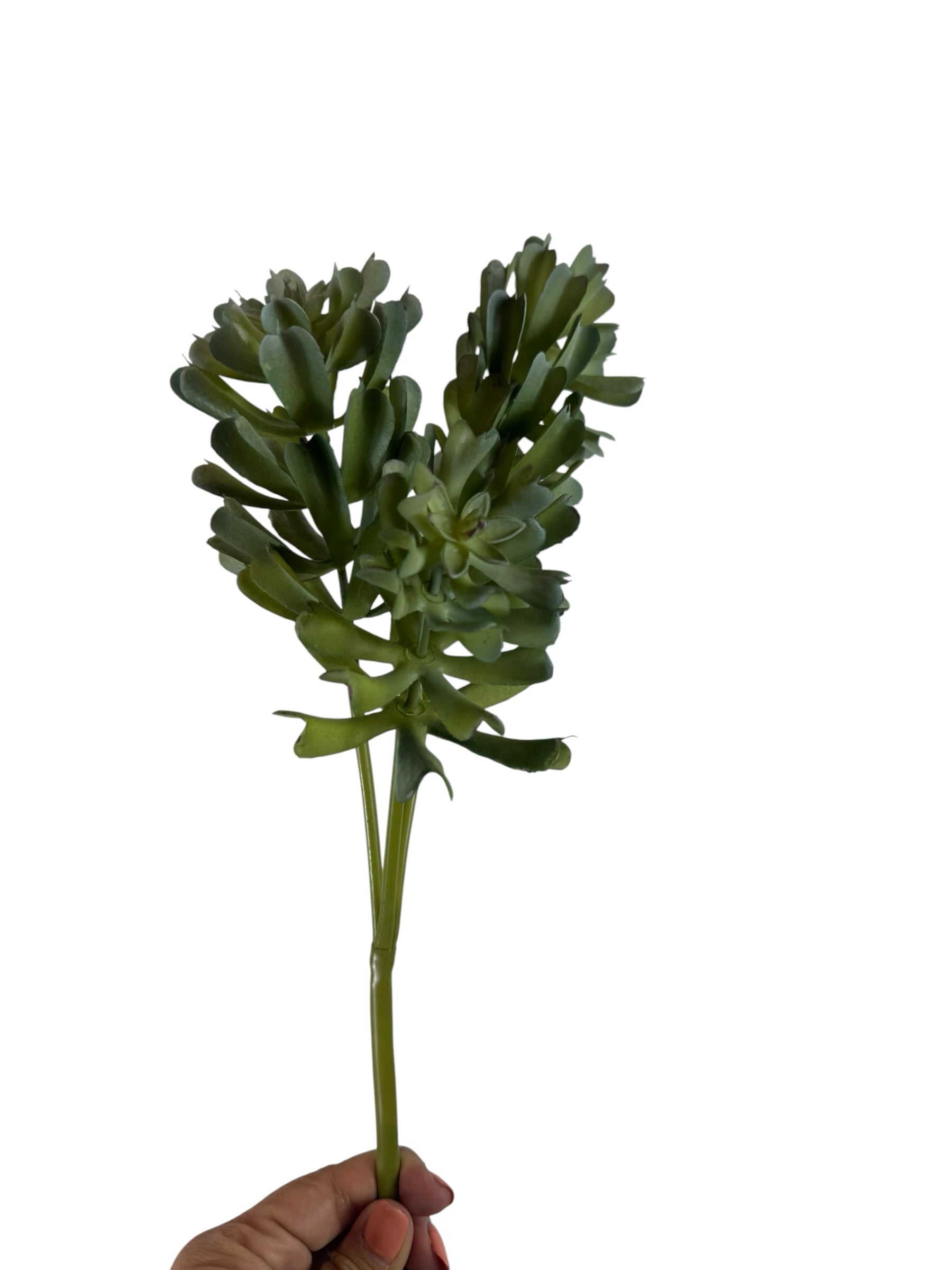 Artificial Bloom artificial succulent stem with realistic green layered leaves held by a hand against a white background