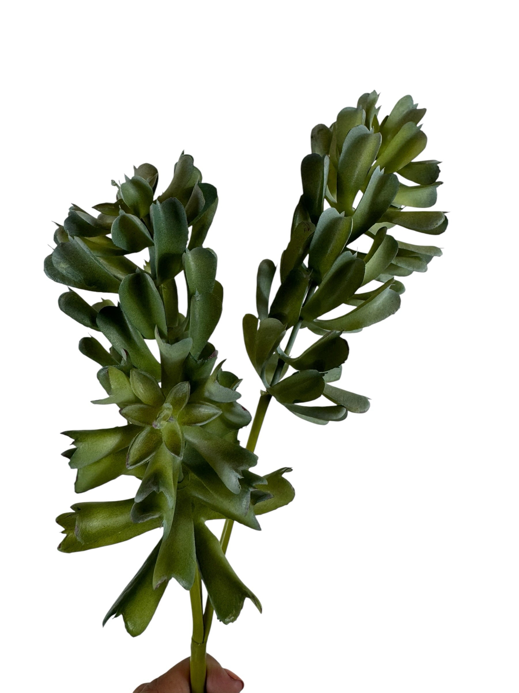 Artificial Bloom artificial succulent stem with realistic multi-layered green leaves for home decor