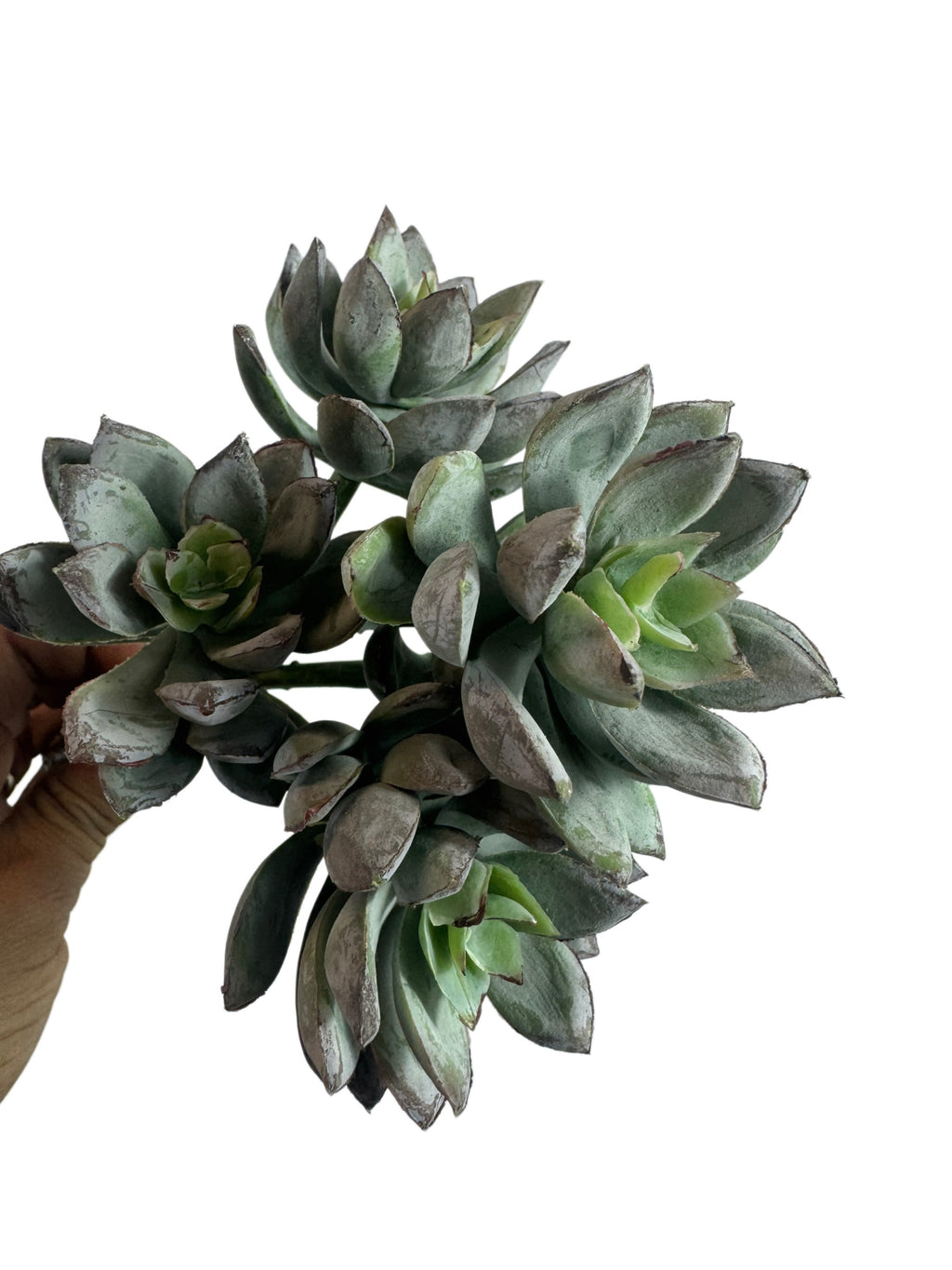 Artificial Bloom multi-headed faux succulent stem with sage green and dusty charcoal fleshy leaves