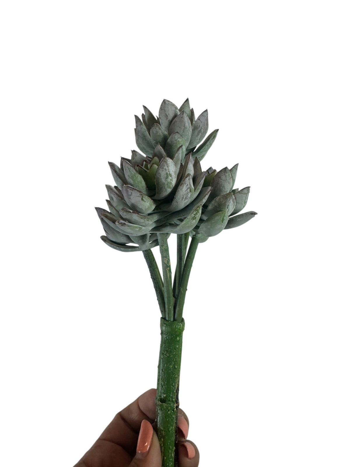 Artificial Bloom multi-headed faux succulent stem in sage green and dusty charcoal held against a white background