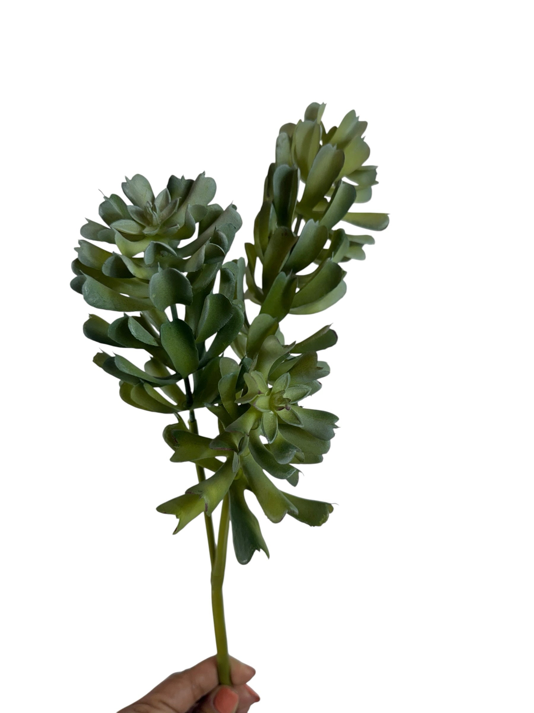 Artificial Bloom artificial succulent stem with realistic green multi-layered leaves held against a white background.