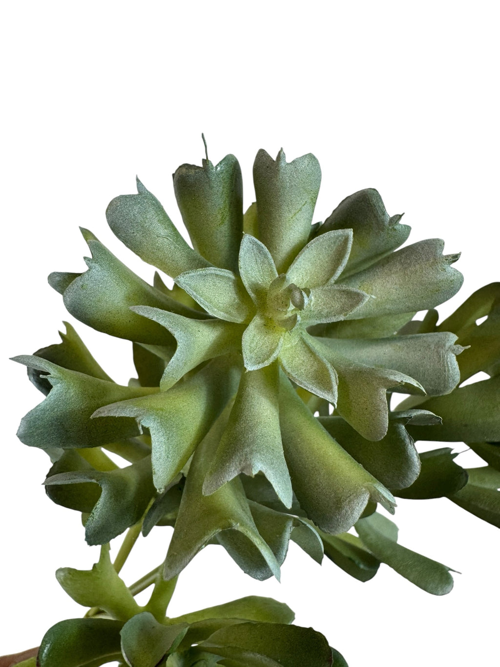 Artificial Bloom artificial succulent stem with realistic green layered leaves for home decor