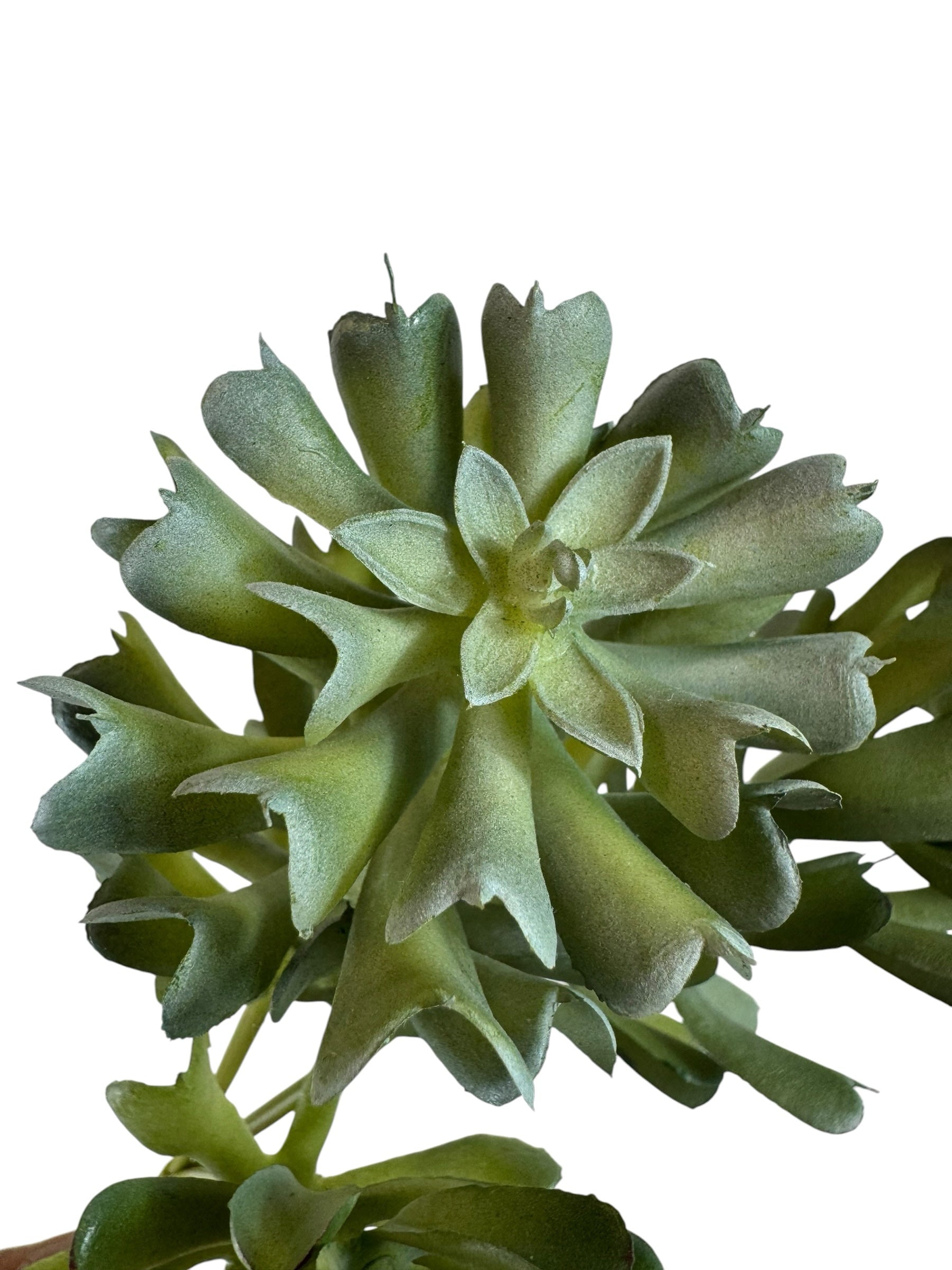 Artificial Bloom artificial succulent stem with realistic green layered leaves for home decor