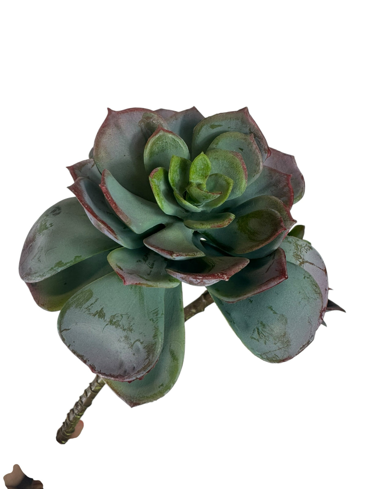 Artificial Bloom dual-rosette faux succulent stem in teal and forest green with reddish-purple leaf edges.