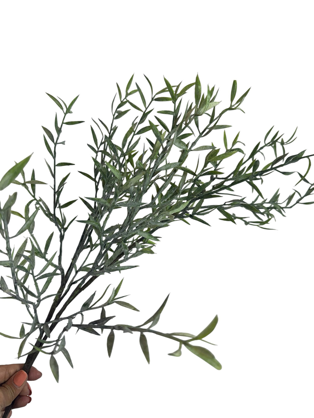 Artificial Bloom willow leaf stem with frosted green foliage and slender pointed leaves held against a white background.