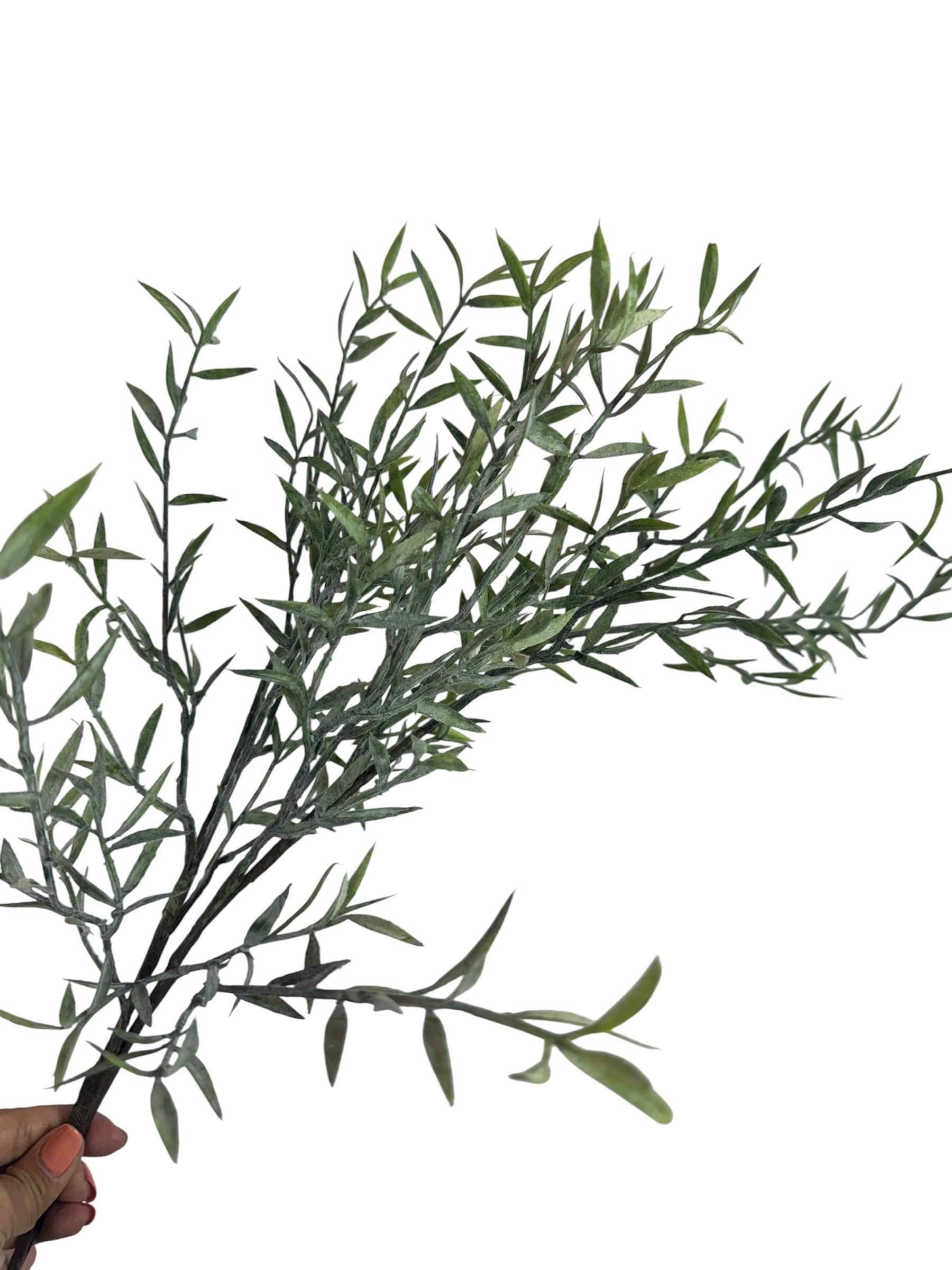 Artificial Bloom willow leaf stem with frosted green foliage and slender pointed leaves held against a white background.