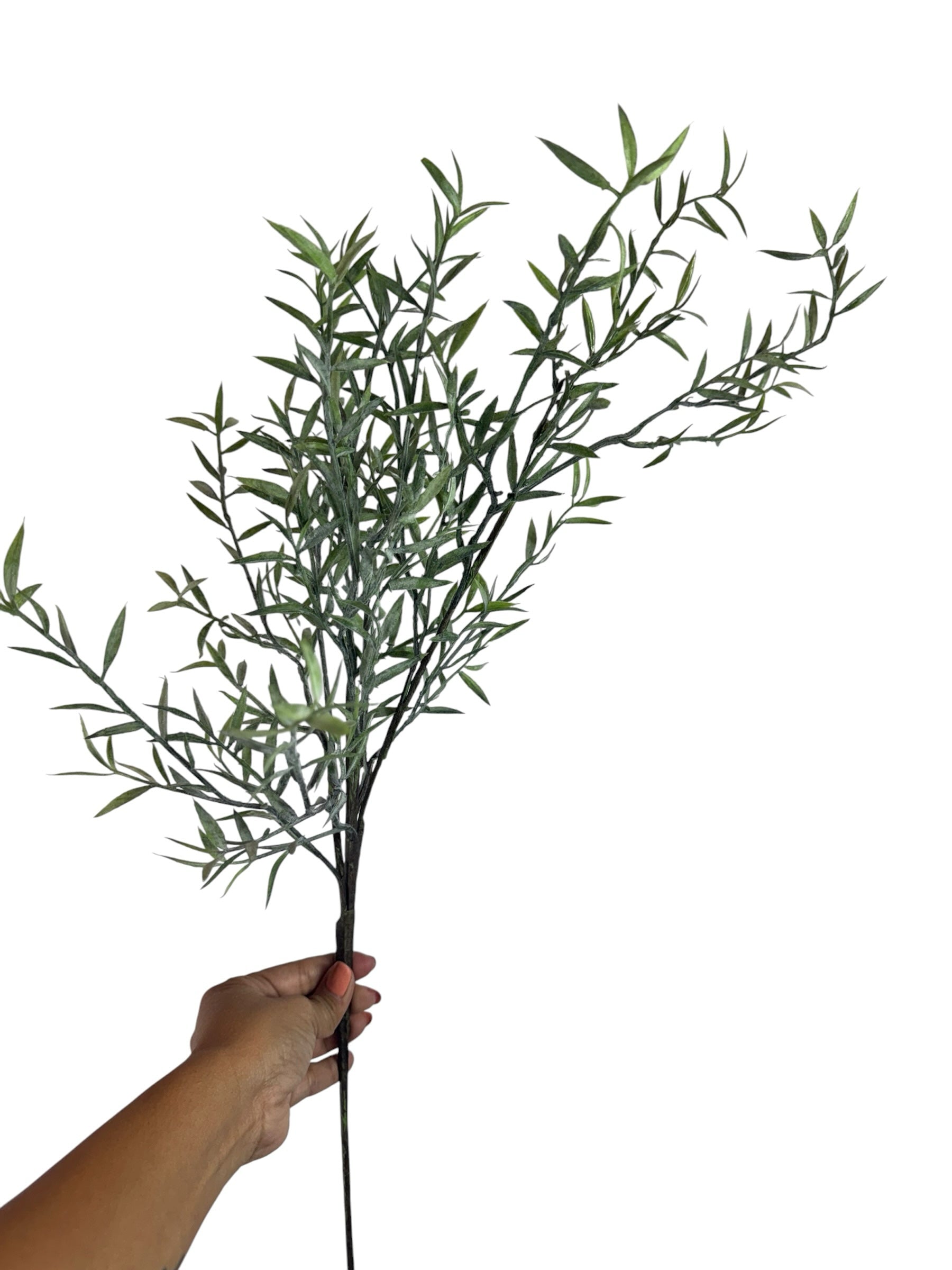 Artificial Bloom artificial willow leaf stem with frosted green foliage held against a plain white background