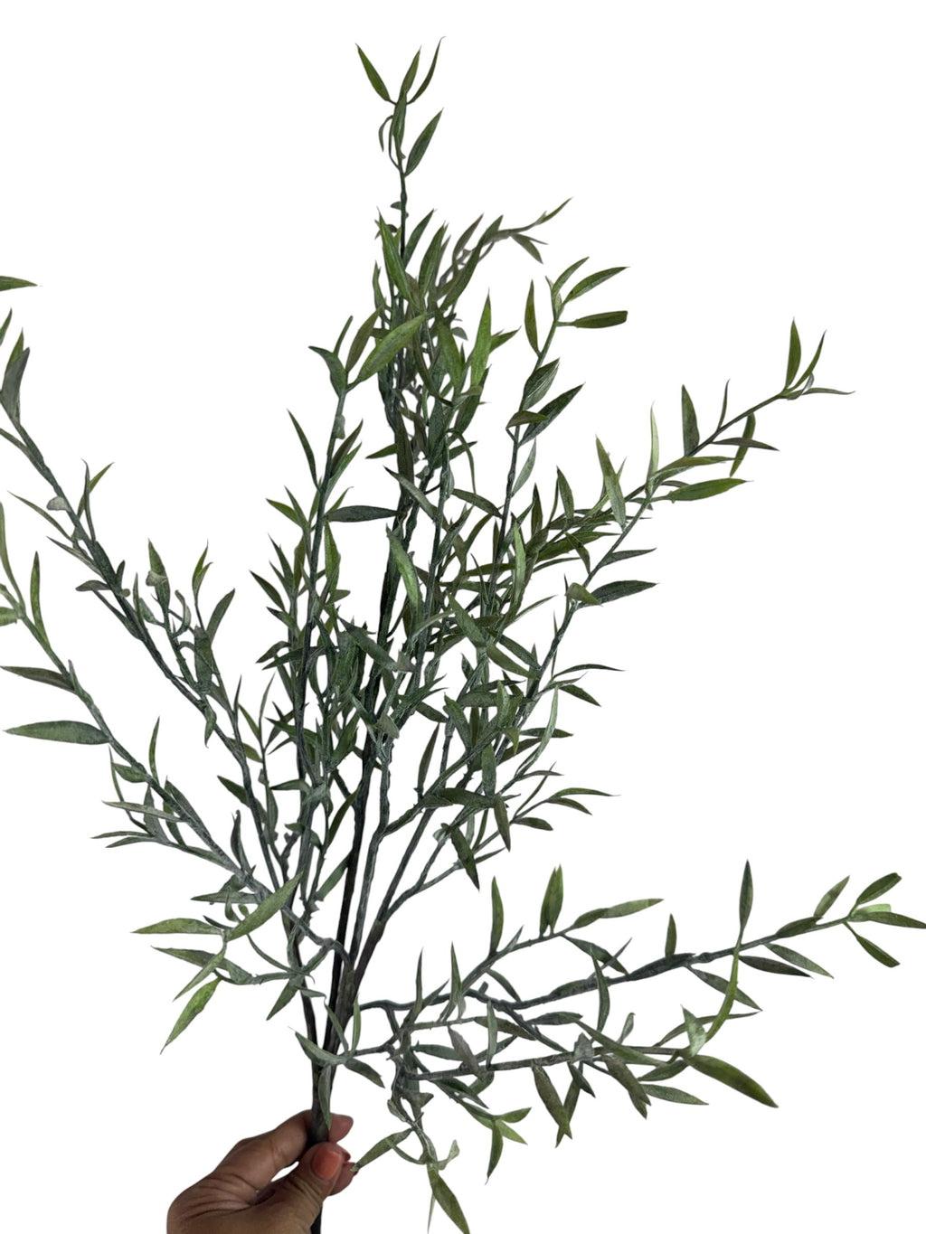 Artificial Bloom willow leaf decorative stem with frosted green foliage held against a white background
